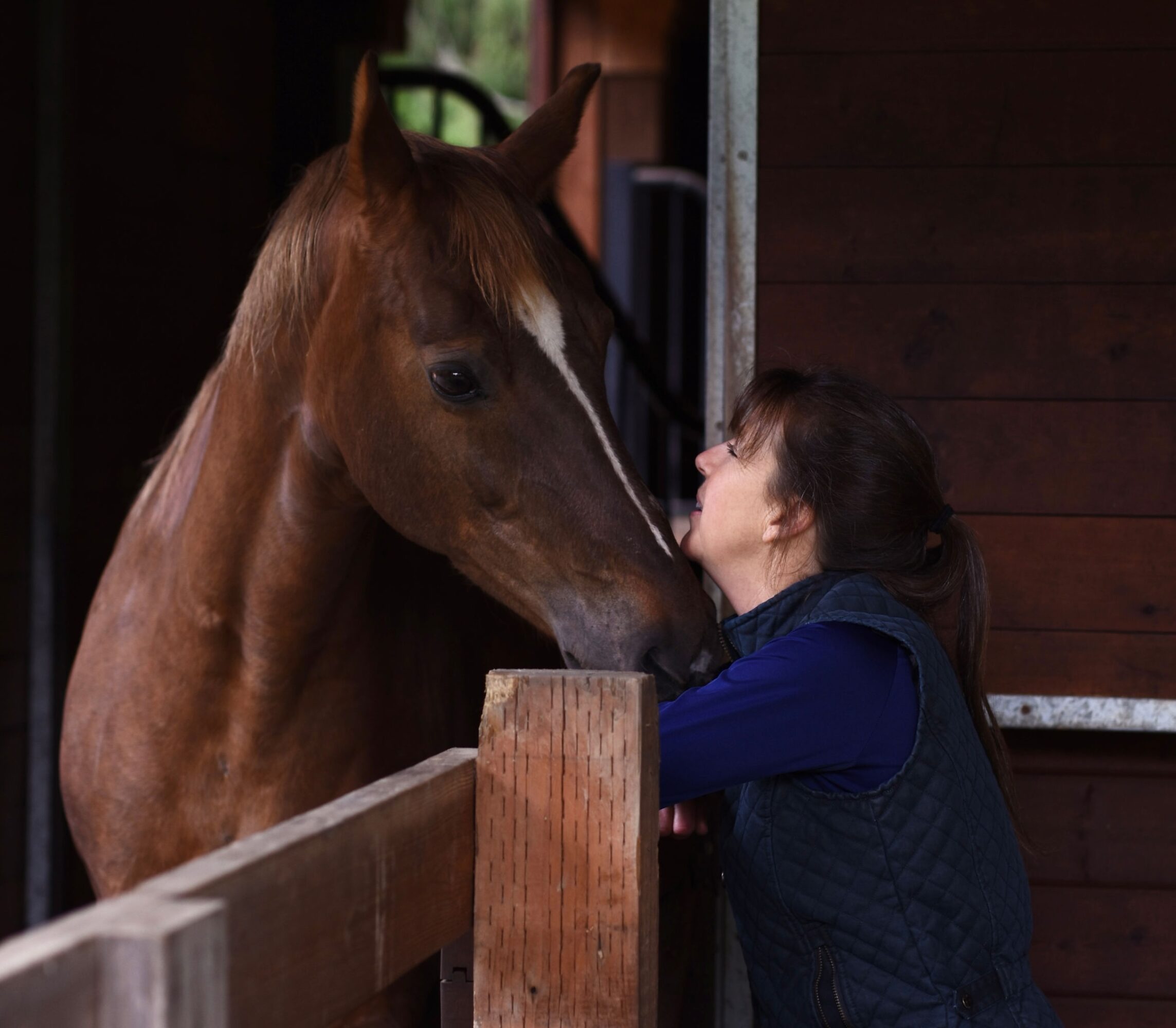 Exploring Life & Business with Jill Hendershot Roth of Bridles and Breath, LLC