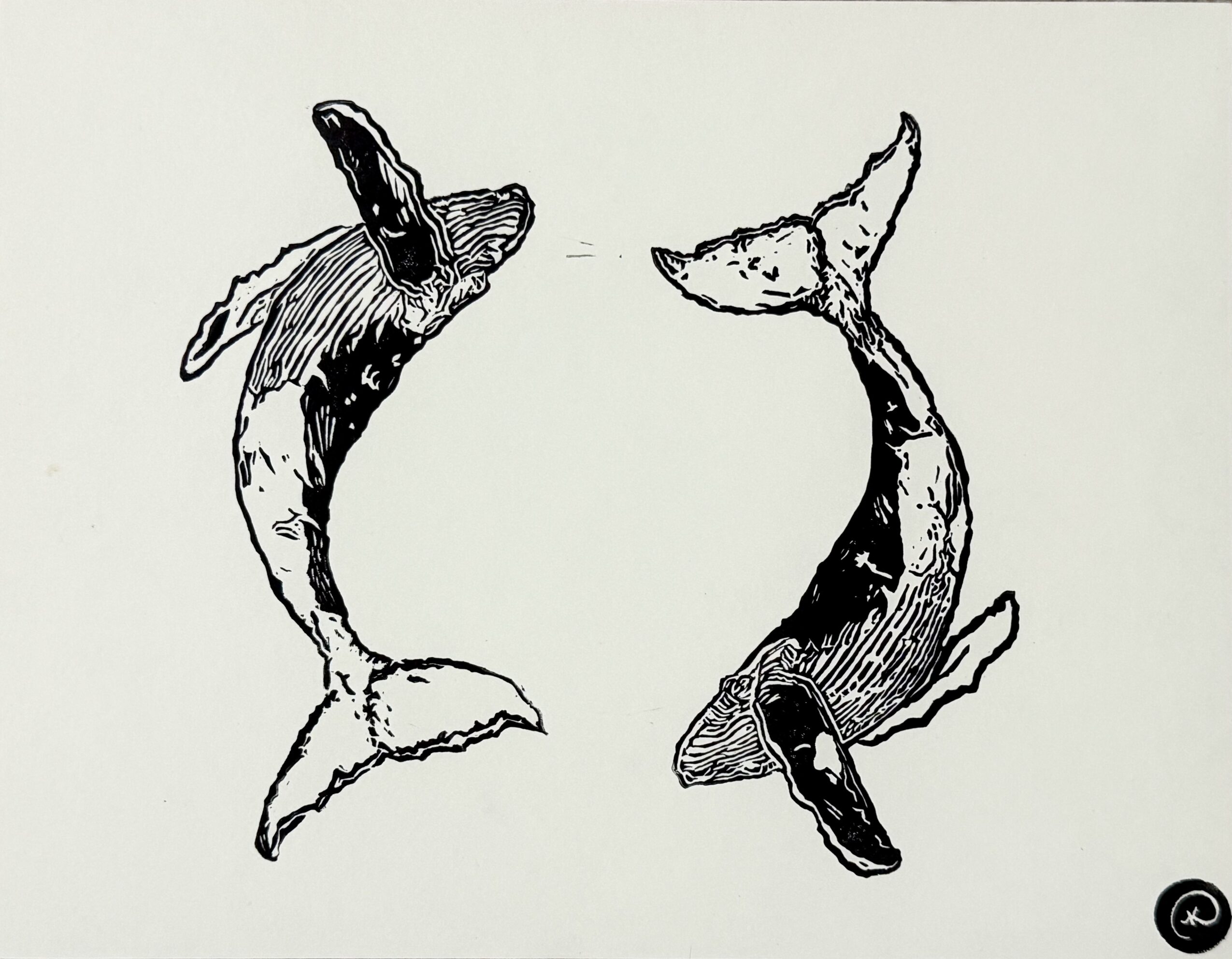 Two fish facing each other, drawn in black and white, with detailed scales and fins, on a plain background.
