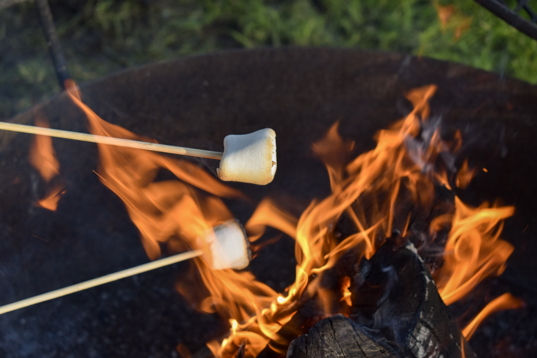 Marshmallows being roasted over an open fire with flames and blackened logs visible.