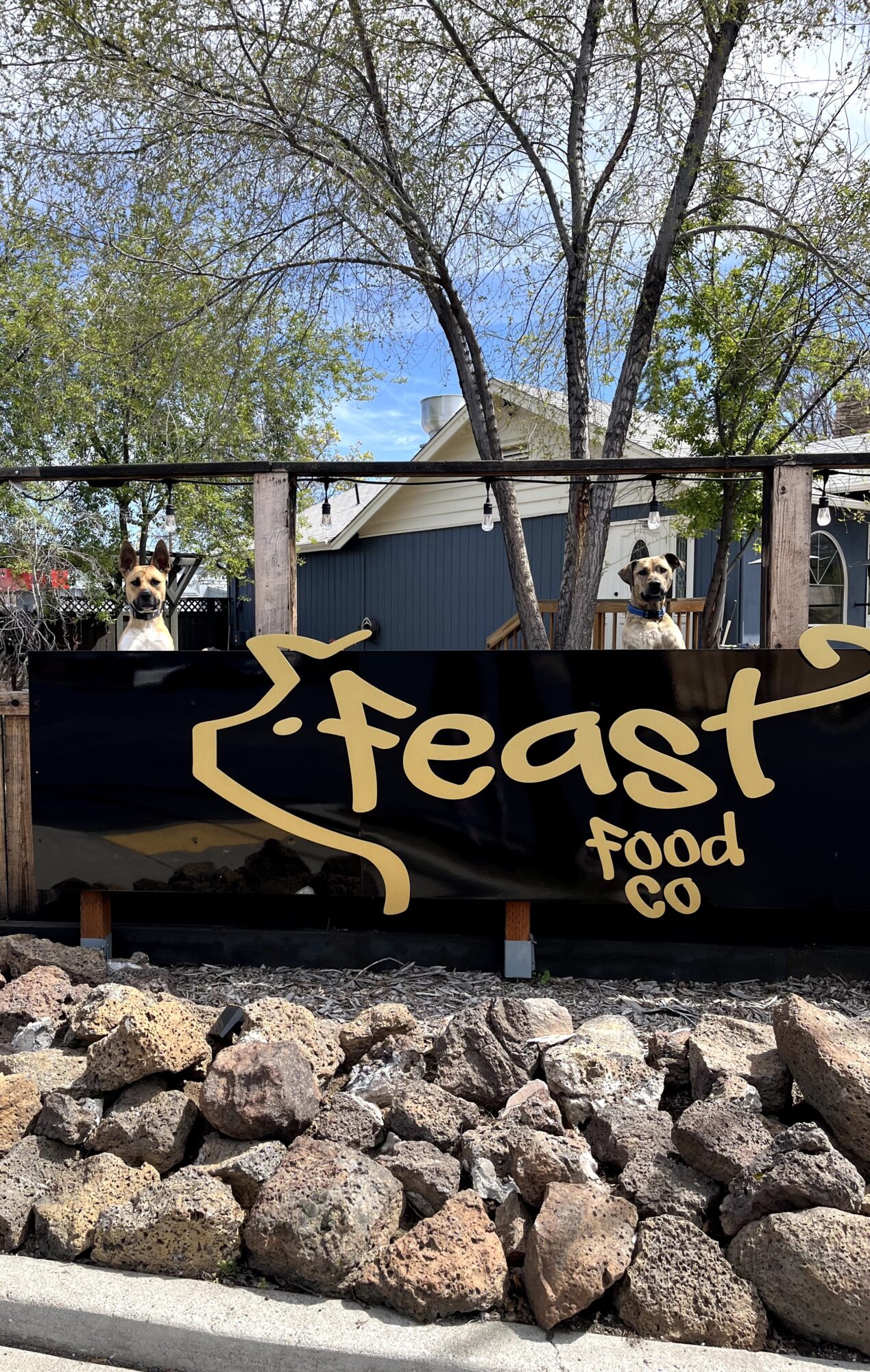 Two dogs behind a black sign with gold lettering reading 'Feast Food Co,' rocks in foreground, trees and blue sky in background.