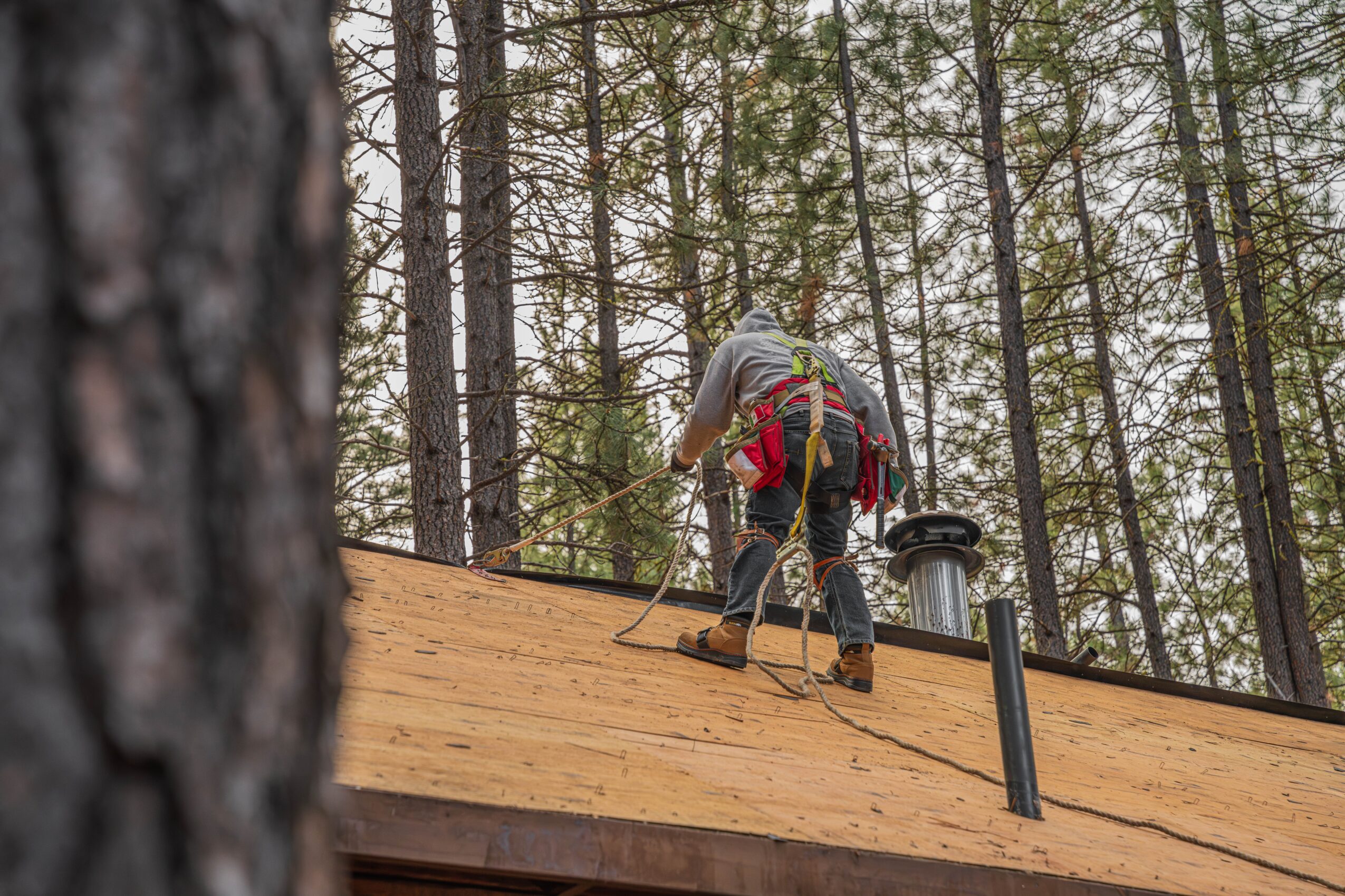 Person working on a roof in a forest, wearing safety gear and using tools, surrounded by tall trees.