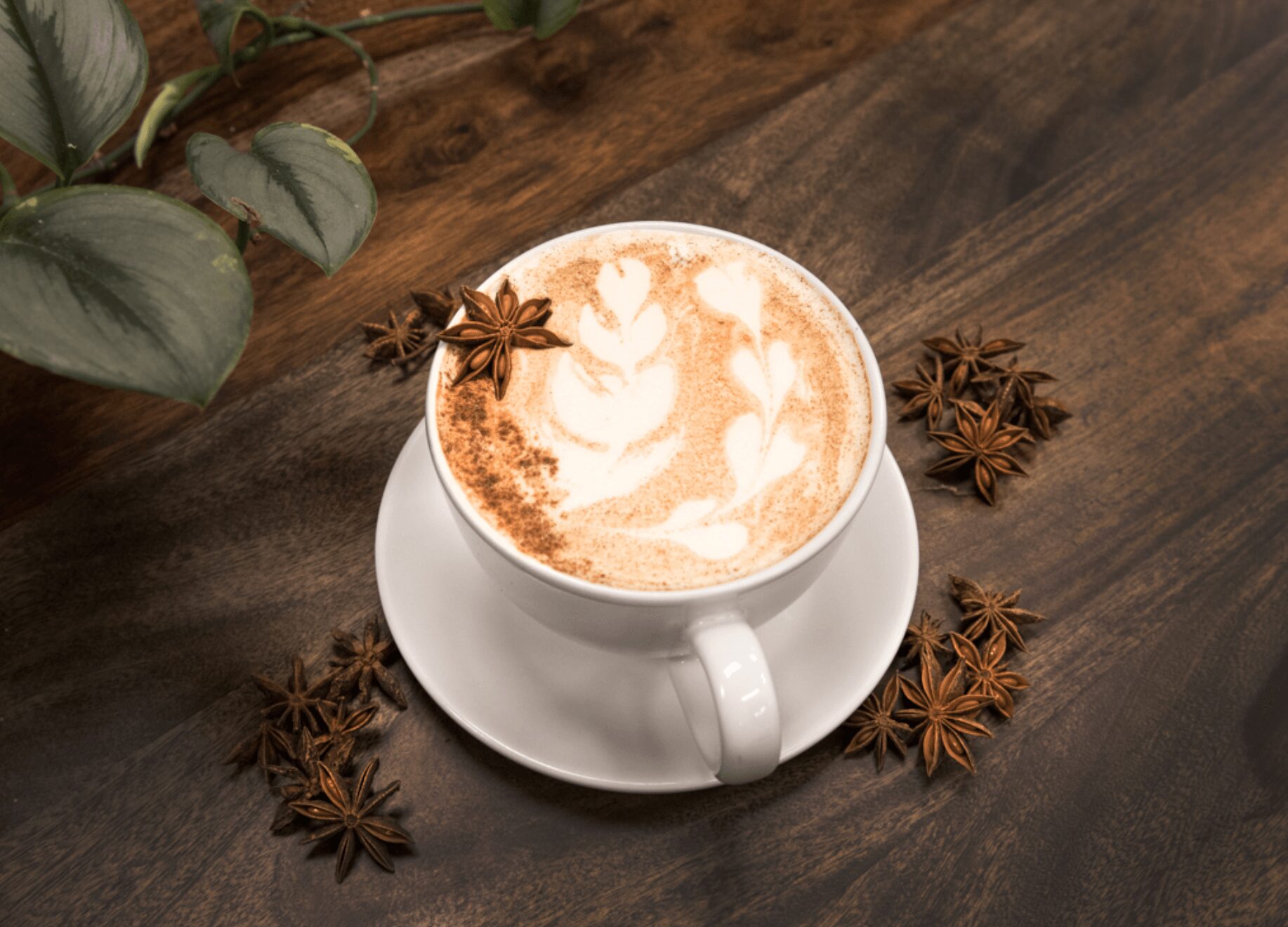 A cup of frothy coffee with cinnamon and star anise on a wooden table, surrounded by star anise pods and green leaves.
