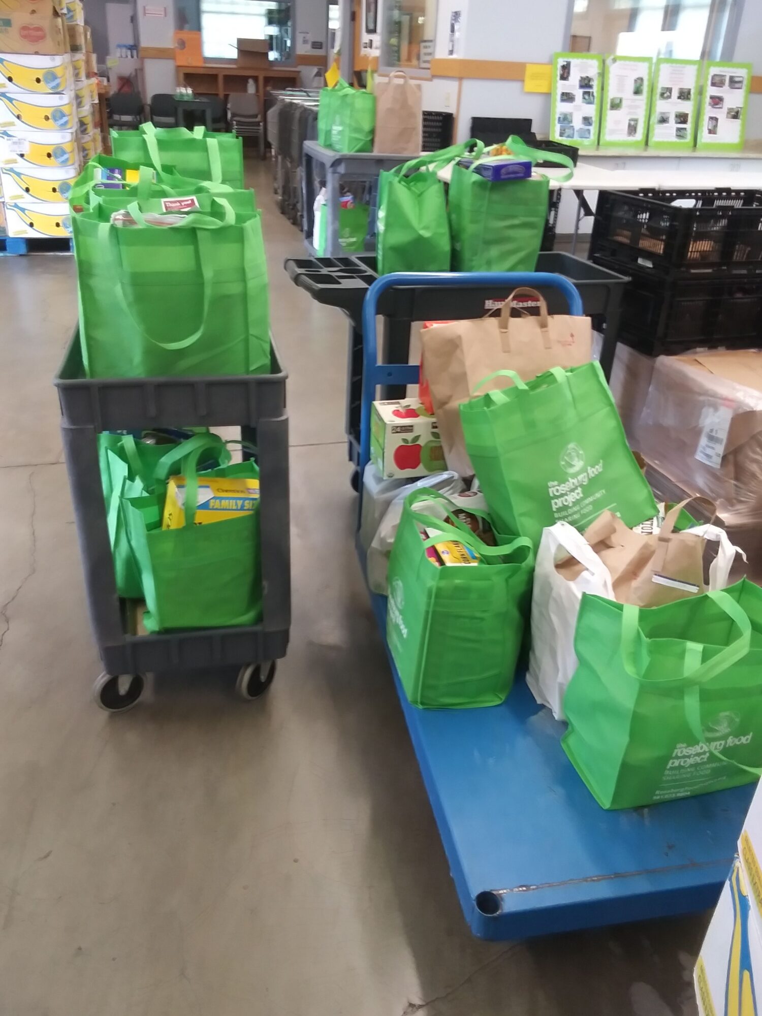 Two carts filled with green bags and paper bags in a store aisle, with shelves and products in the background.