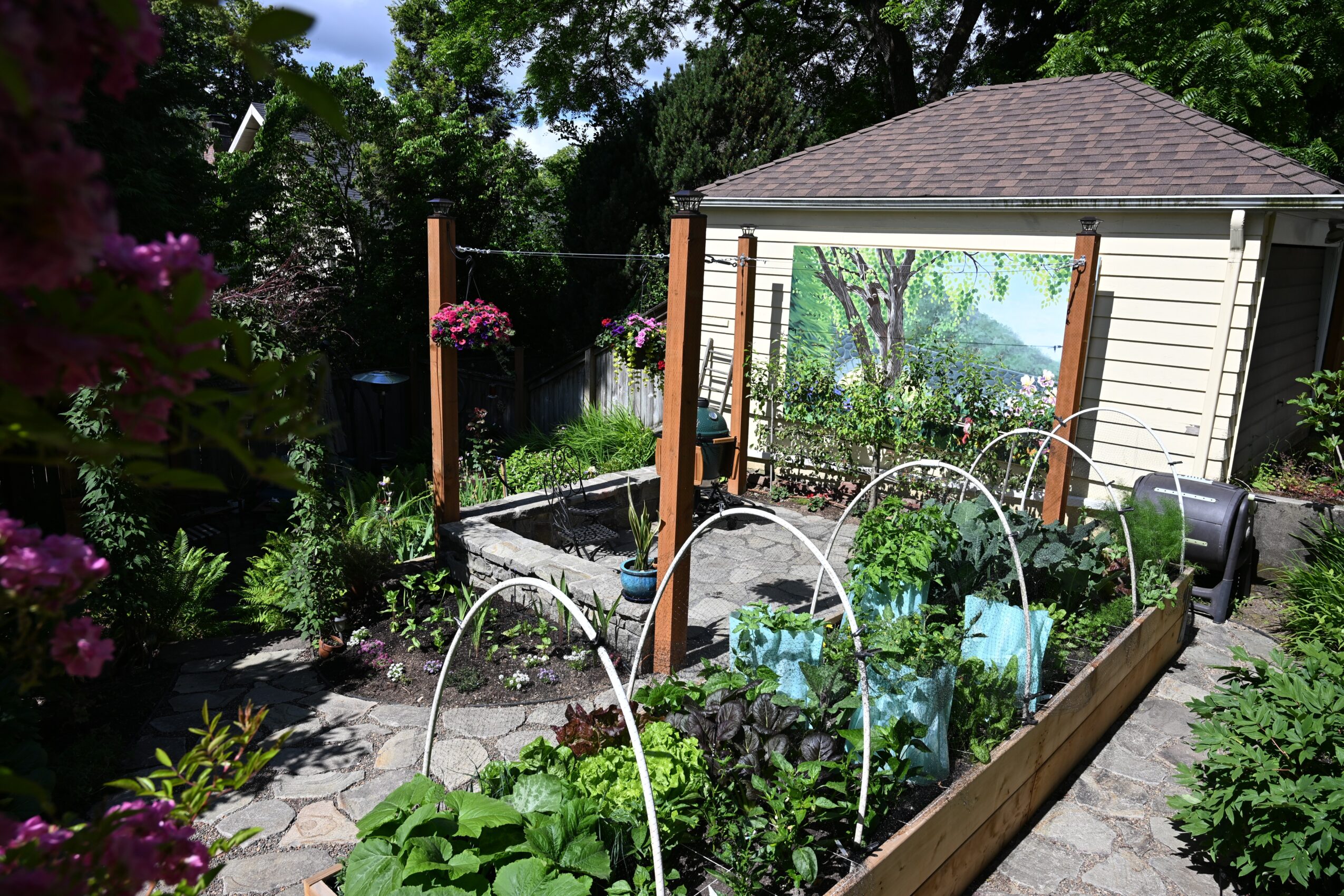 Garden with raised bed, plants, trees, and a shed in the background, sunny day with greenery.