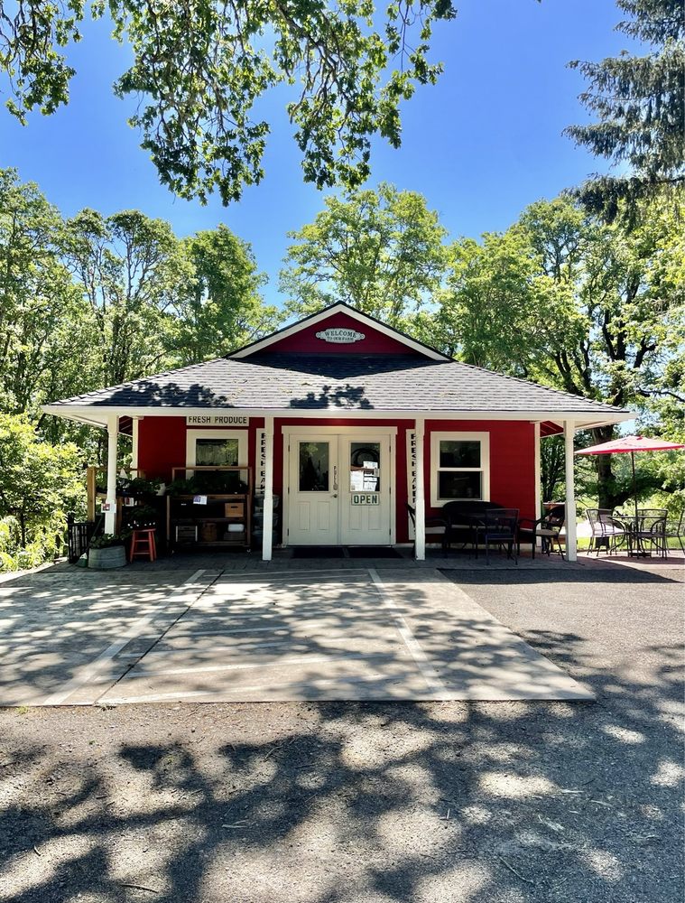 Small red building with white doors and windows, surrounded by trees and shadows, under a clear blue sky.