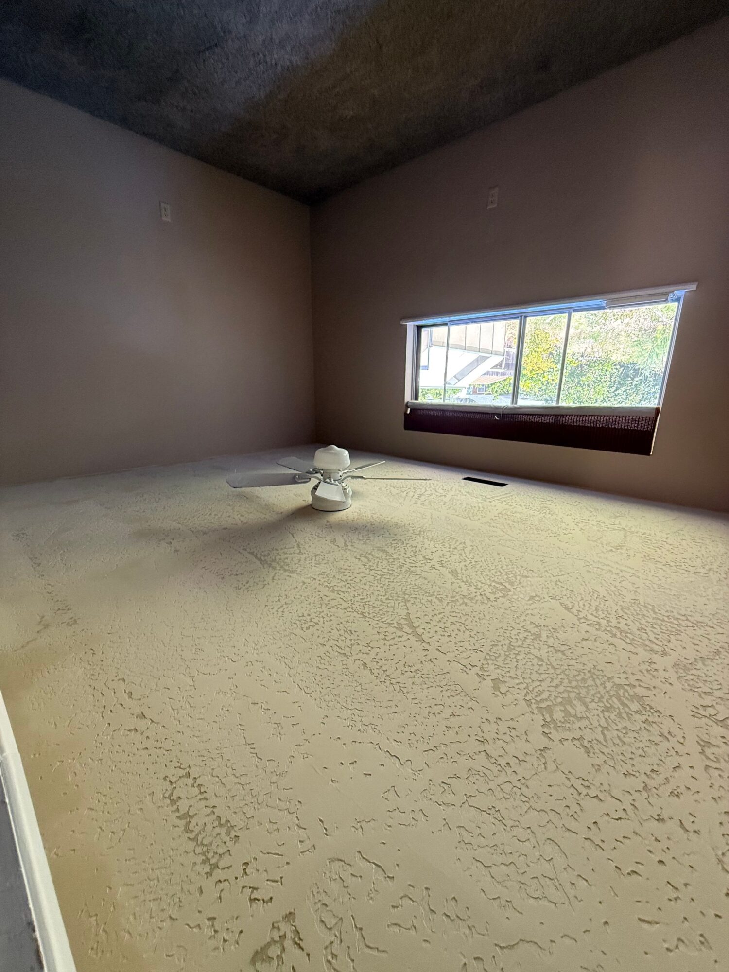 Room with a window showing trees outside, ceiling with textured surface, and plain walls.