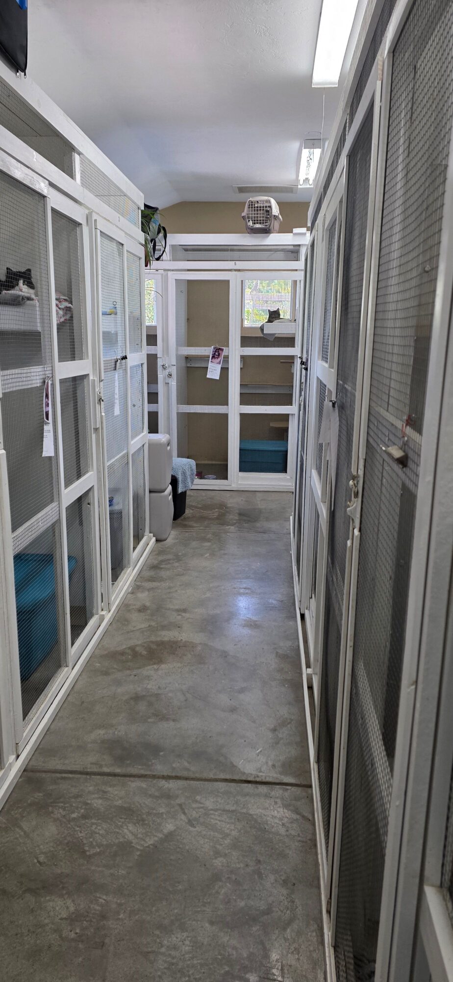 Long corridor with glass doors and windows, concrete floor, and ceiling with exposed beams, leading to a door at the end.