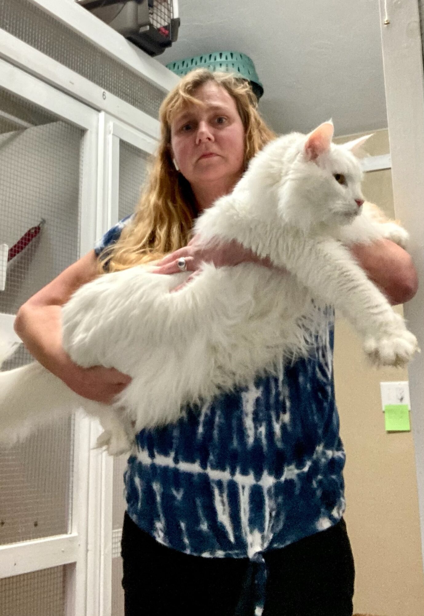 Woman holding a large white cat in a room with cabinets and a green hat, looking at the camera.