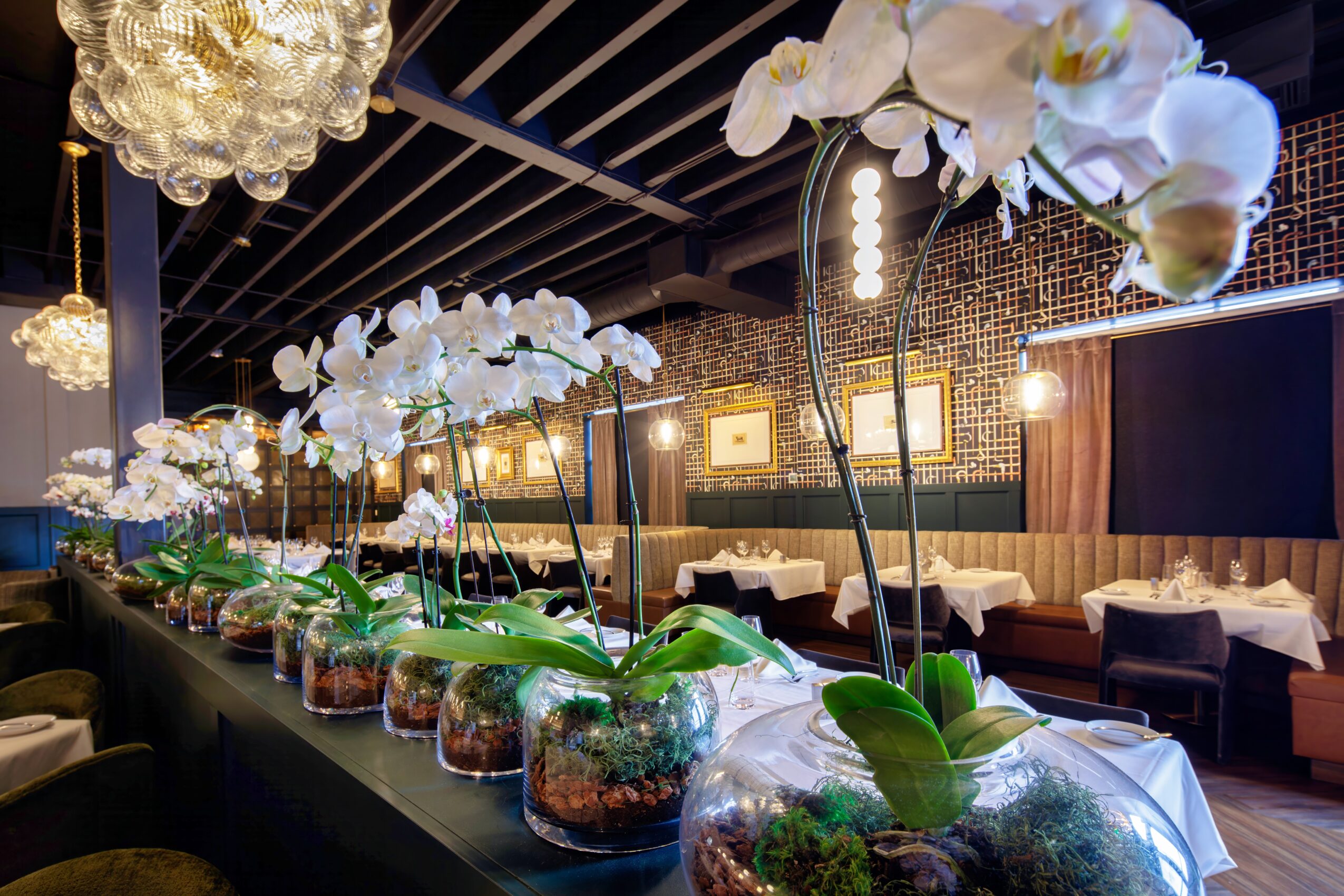 Long table with white orchids in glass vases, restaurant interior with hanging lights and framed pictures on wall.