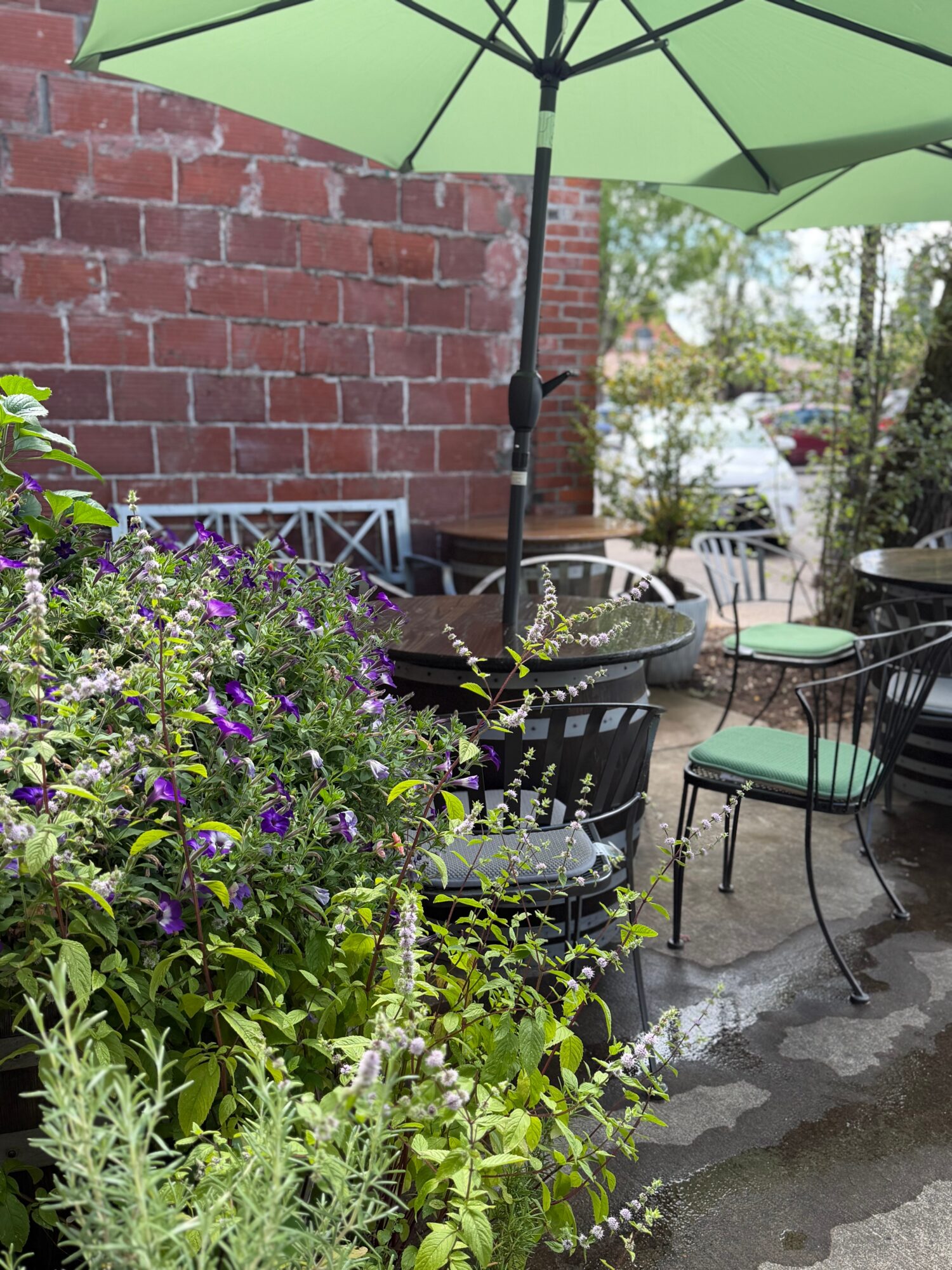 Outdoor patio with chairs, tables, green umbrella, brick wall, and plants, in a garden setting.