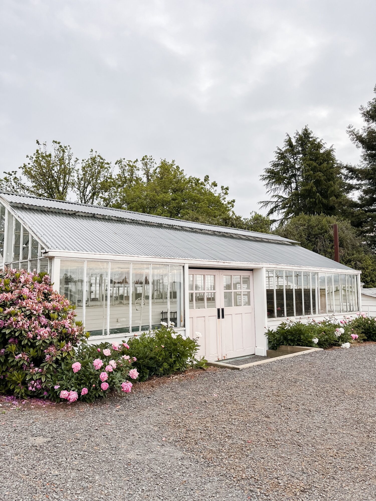 Greenhouse with glass walls and roof, surrounded by pink flowering bushes and trees, under a cloudy sky.