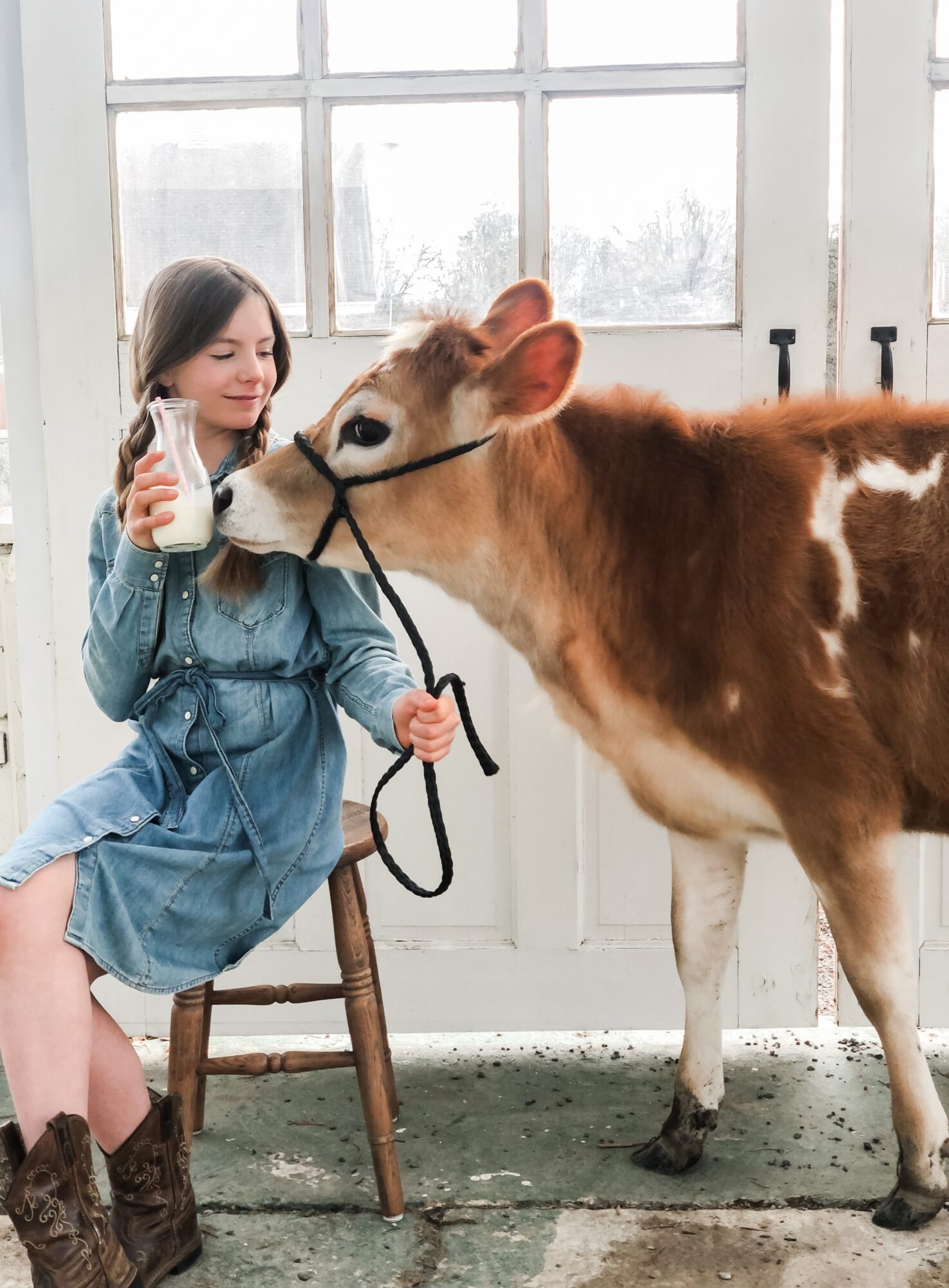 Young girl sitting on a chair holding a cow's halter, indoors with large windows in the background.