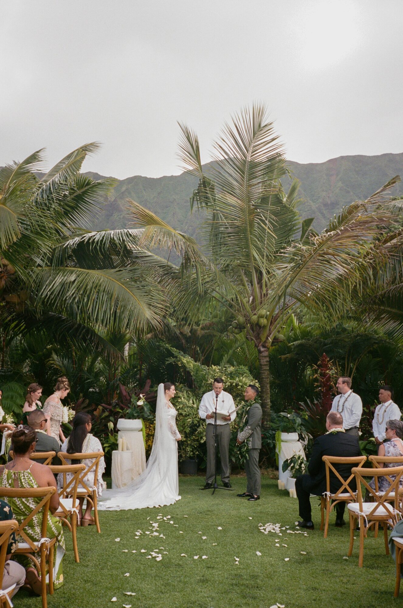 Outdoor wedding ceremony with people, palm trees, and mountains in the background, on a grassy area with chairs and flower petals.