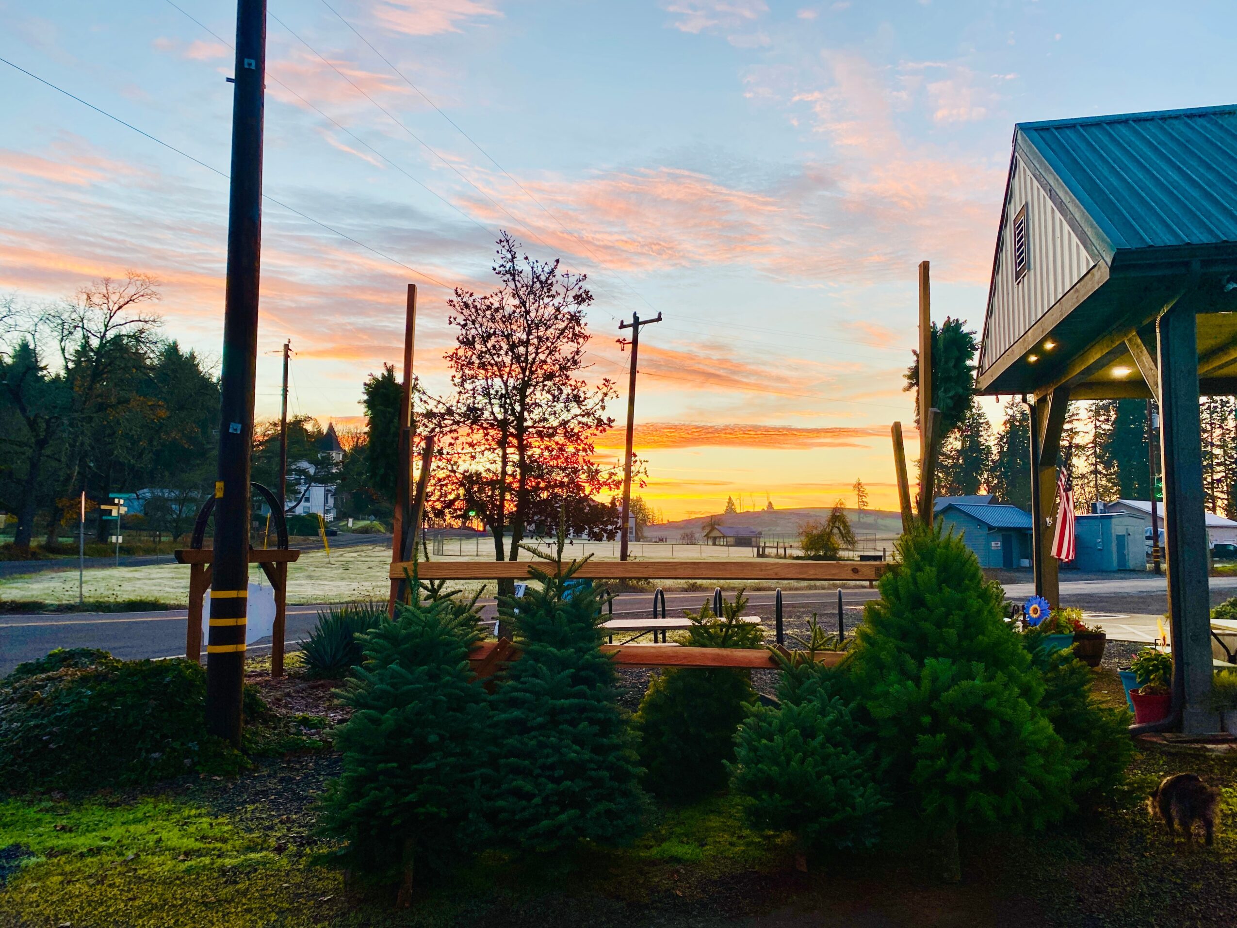 Sunset sky with orange and pink clouds over trees and a parking lot, with a building on the right and small trees in foreground.