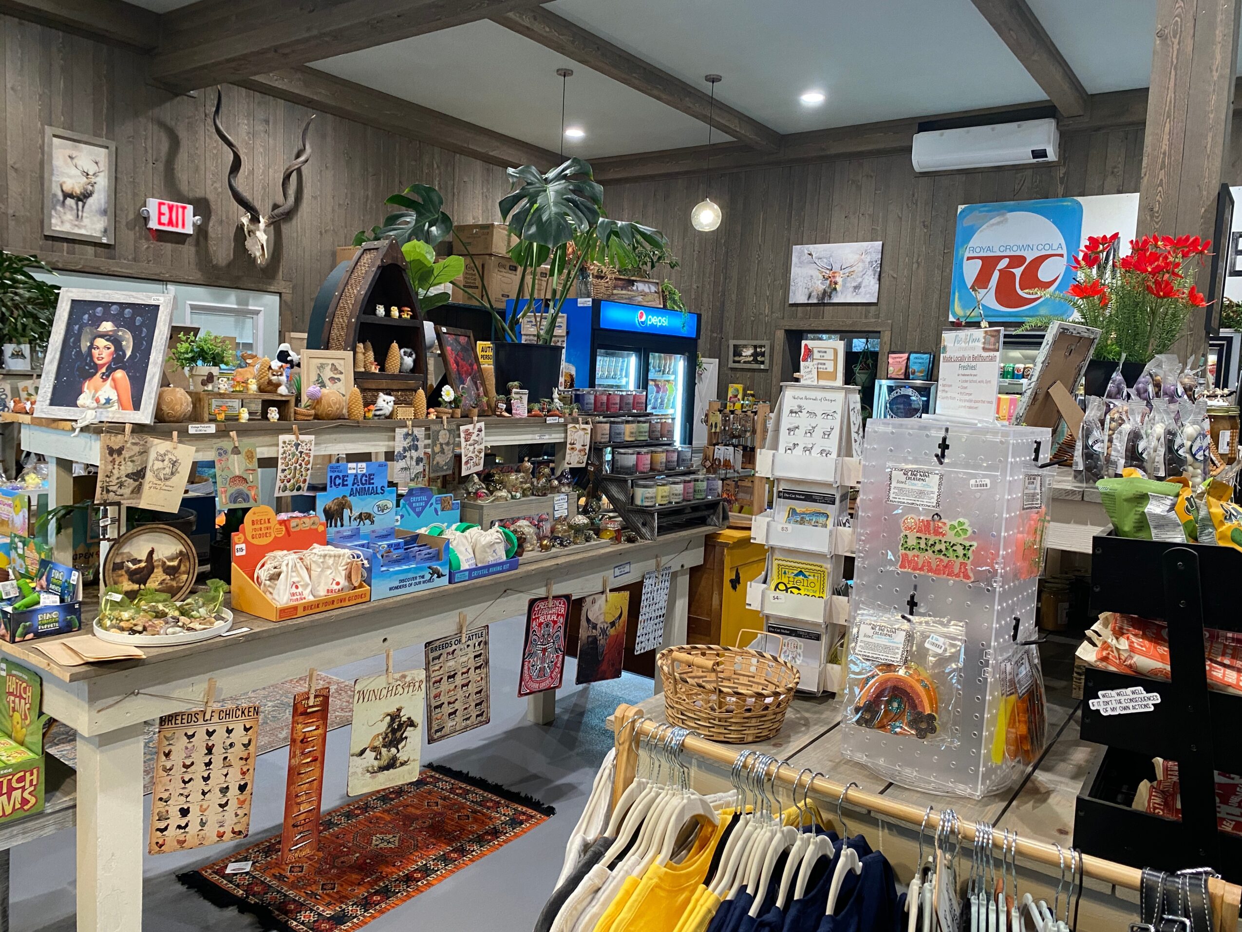 Interior of a store with shelves and displays of various products, plants, and a vending machine, with a RC logo on the wall.