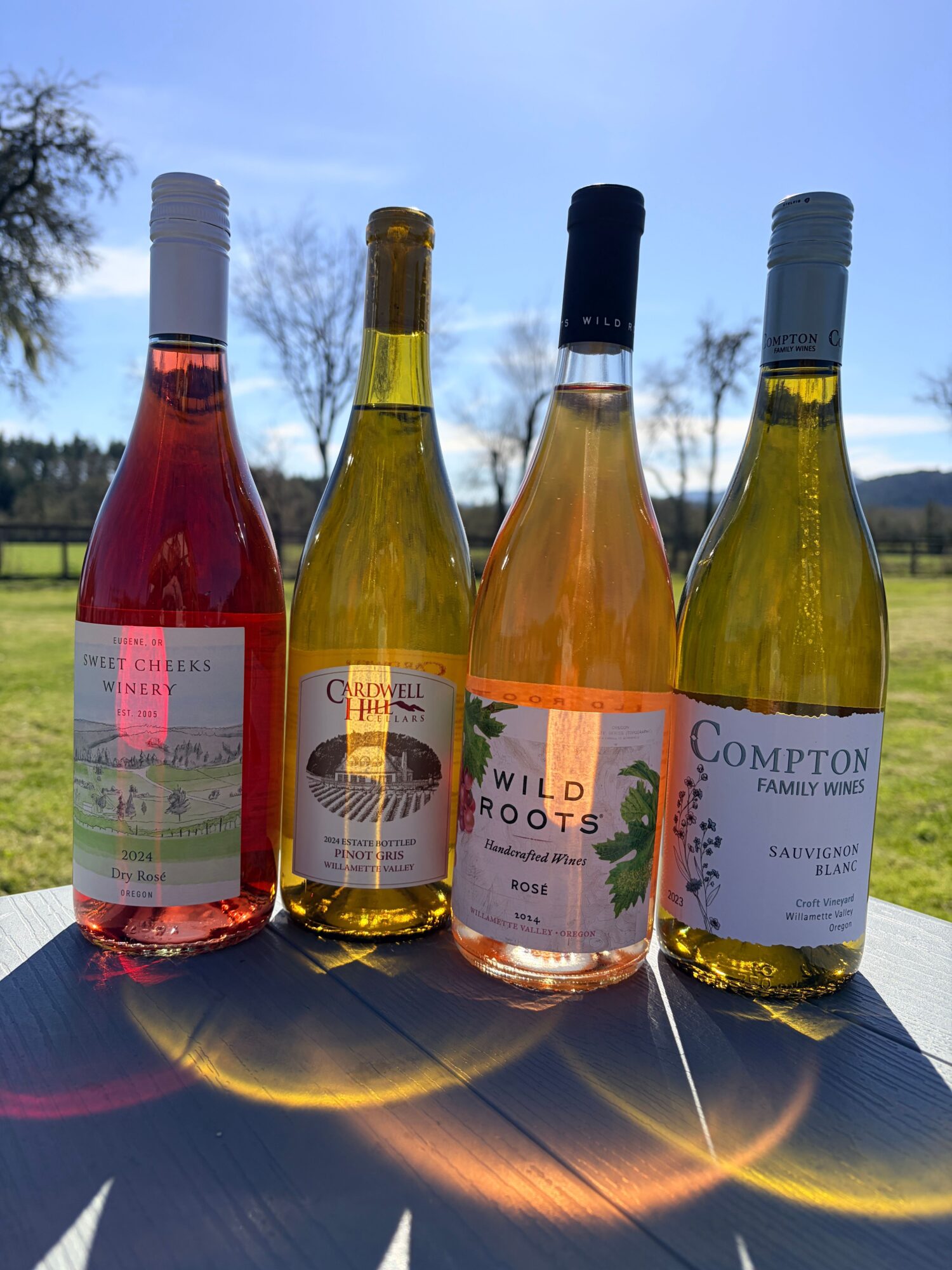 Four bottles of wine are placed on a reflective surface outdoors with a grassy background and trees, sunlight creating reflections.