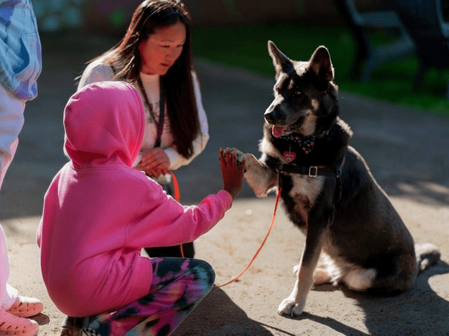 Child in pink hoodie giving a high five to a sitting dog outdoors, with a woman nearby. Bright sunlight.