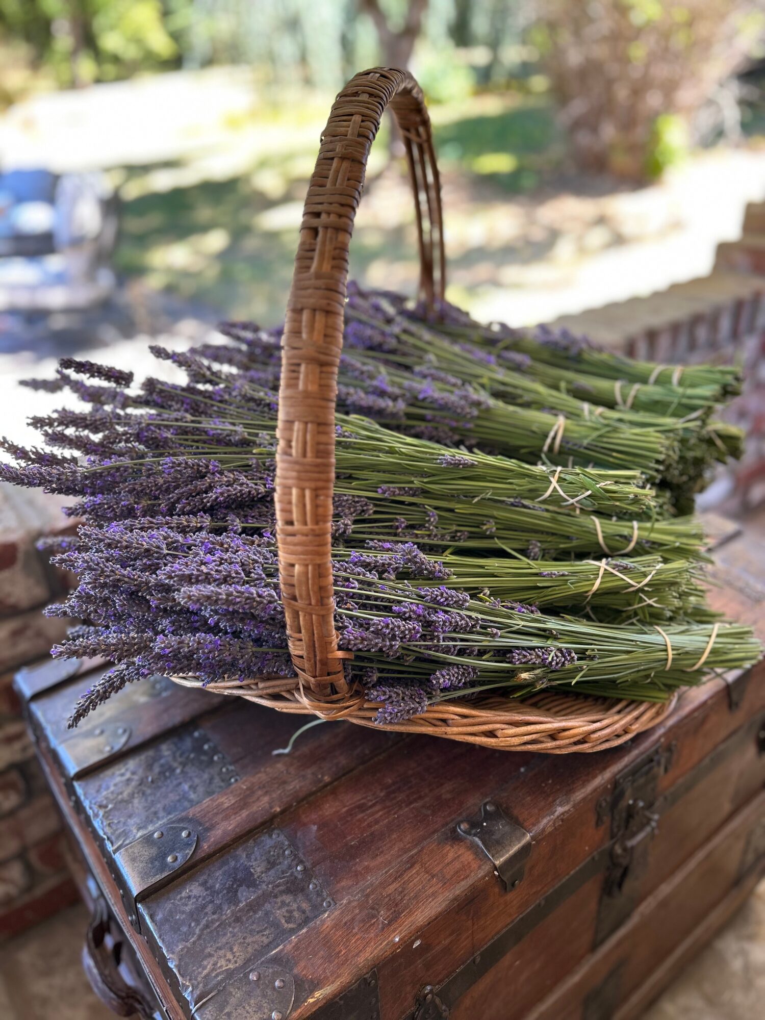 Basket filled with lavender flowers on a wooden surface outdoors, with trees and sunlight in the background.