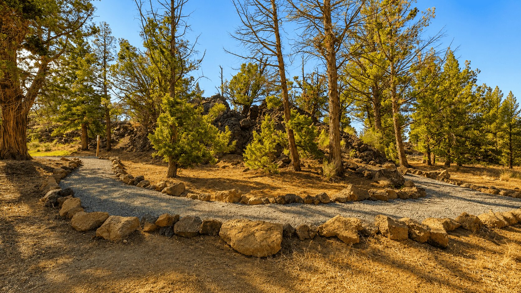 Path lined with rocks curves through a forest with tall trees and green foliage under a blue sky.