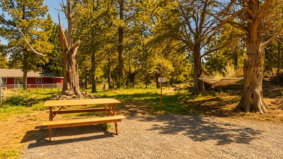 Park with trees, benches, and a gravel path, under a sunny sky with green foliage.