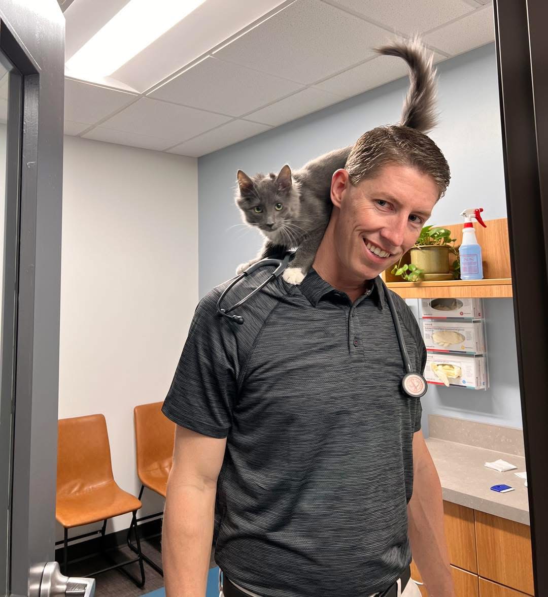 Man with a cat on his shoulder smiling indoors, with chairs and shelves in the background.