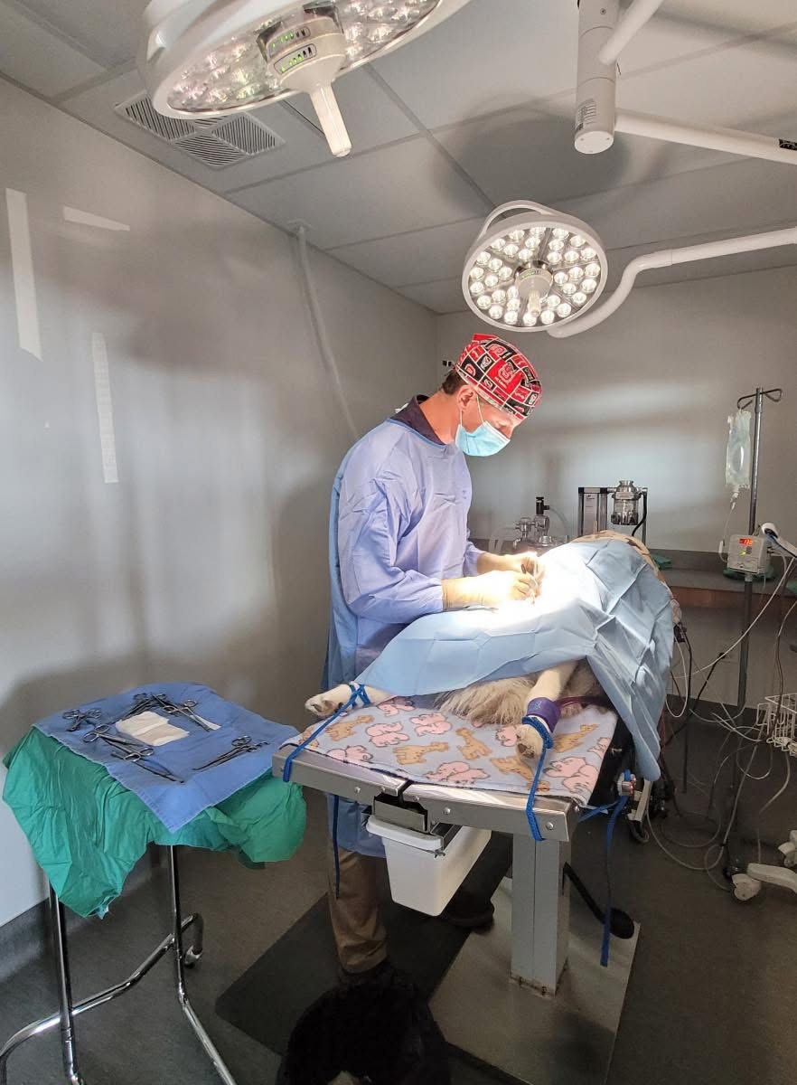Surgeon in scrubs and mask performing surgery in an operating room with overhead lights and medical equipment.