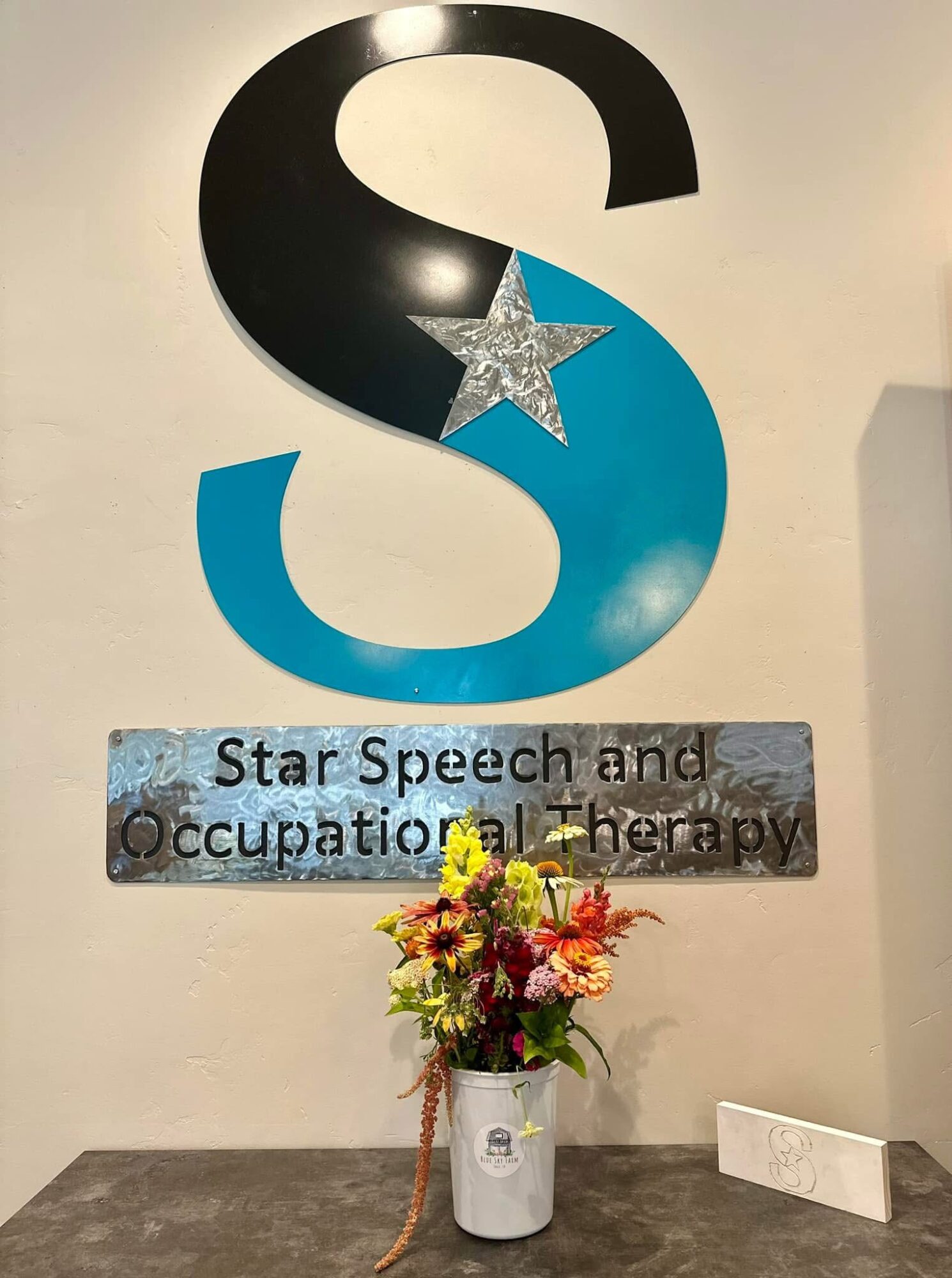 Large letter S with star, sign for Star Speech and Occupational Therapy, flower arrangement below, on wall.
