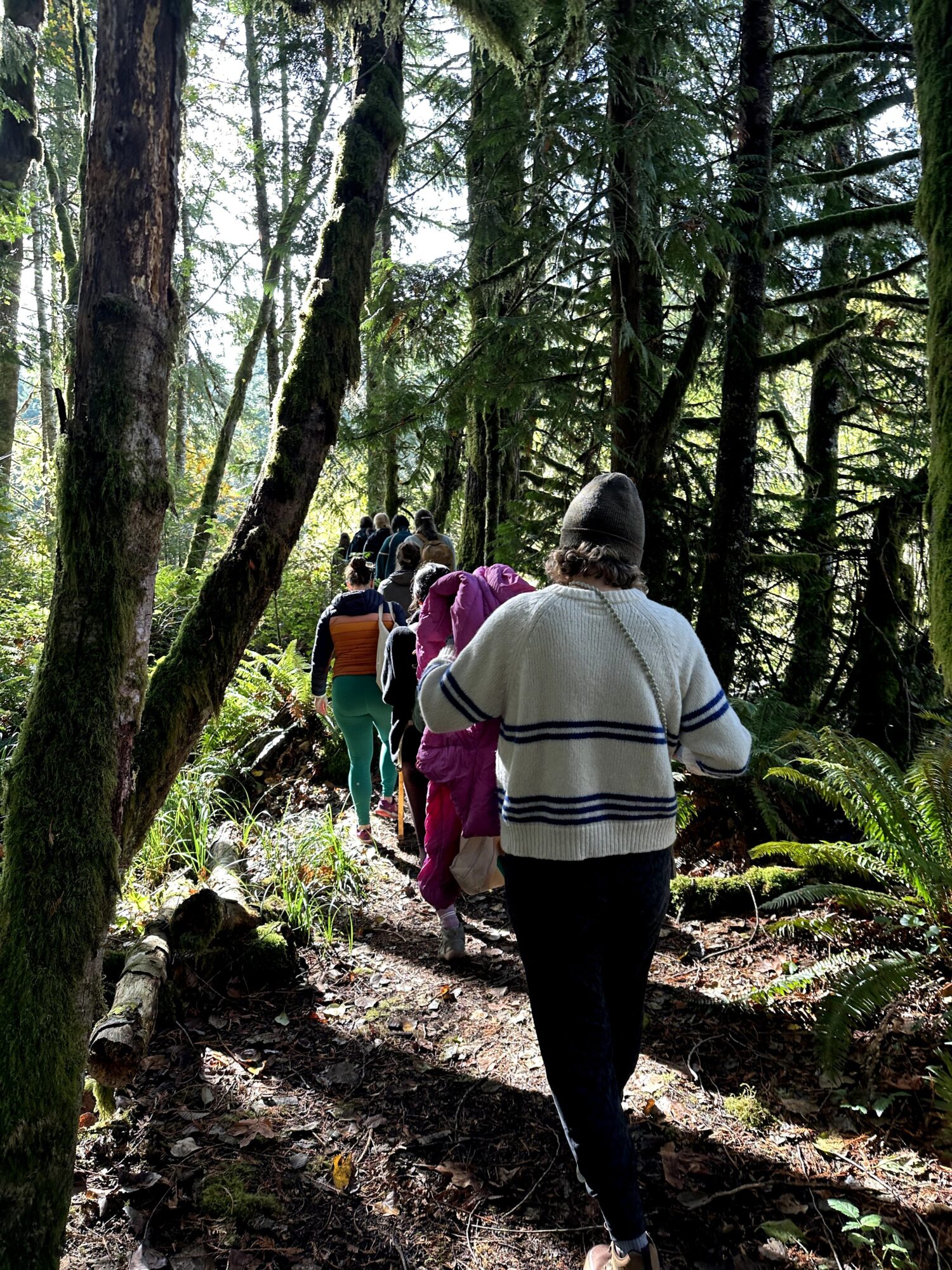 Group of people walking on a forest trail surrounded by trees and greenery.