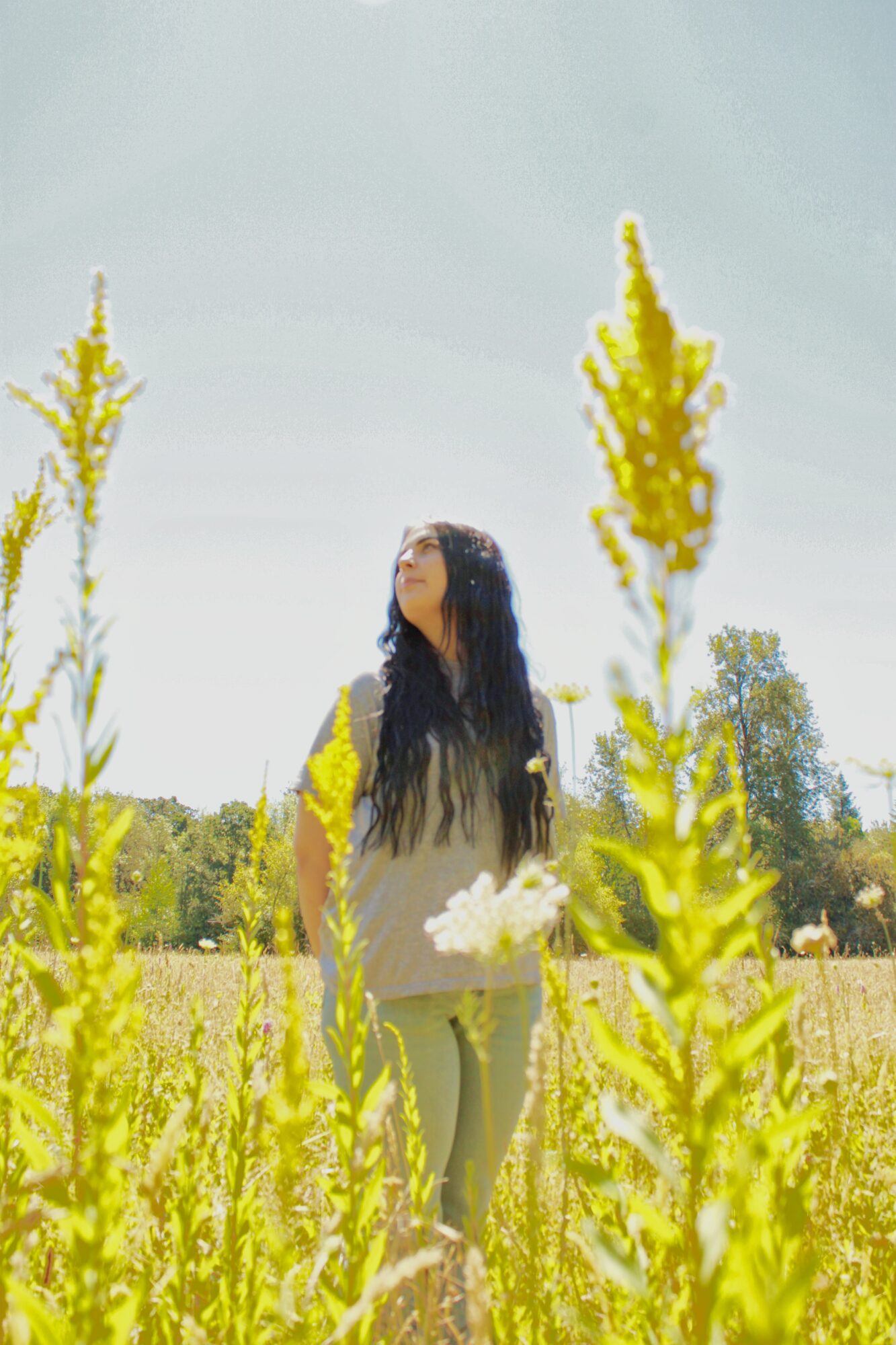 Young woman with long dark hair standing in a yellow flower field, looking up at the sky, bright sunny day.