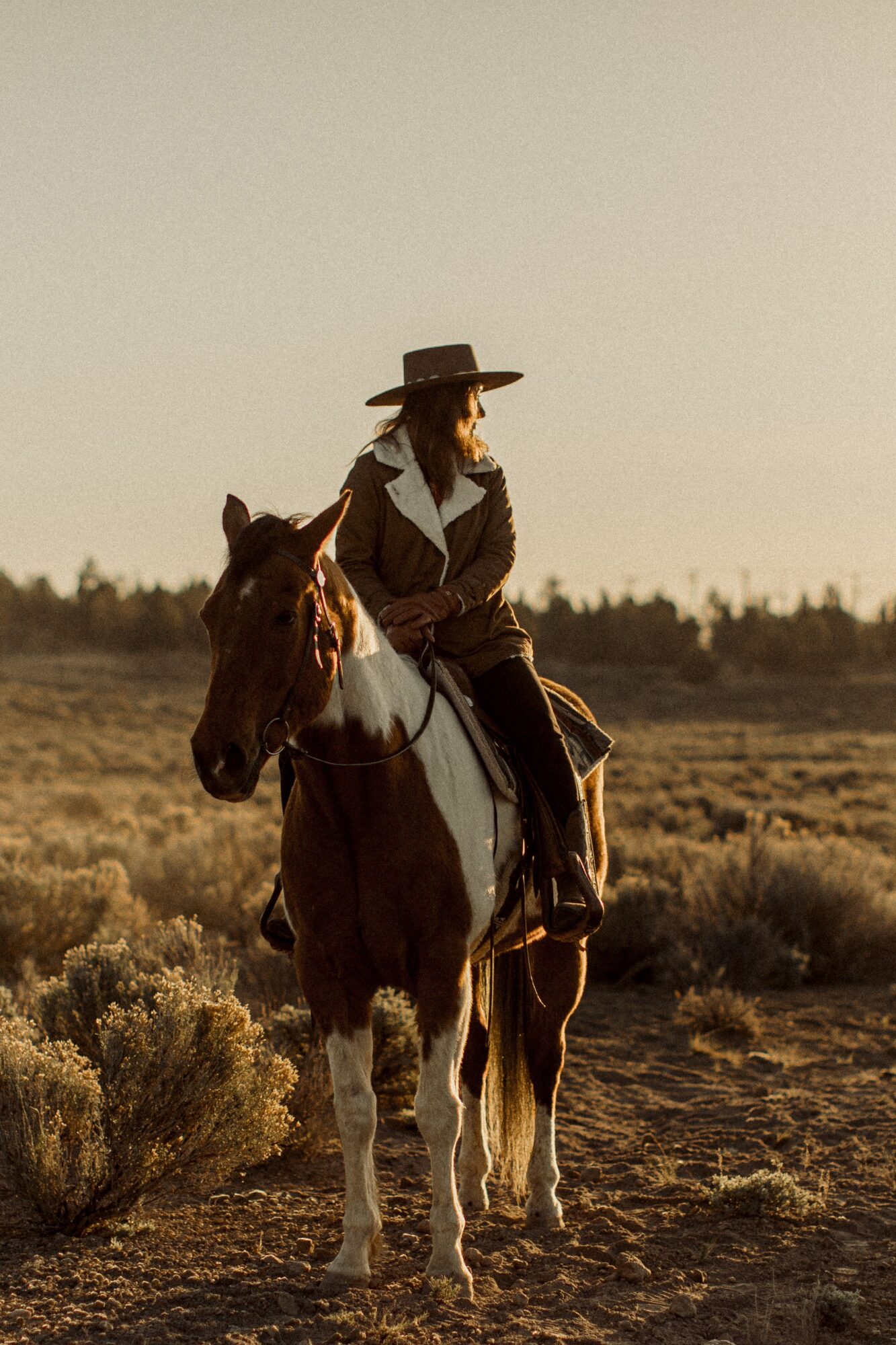 Person wearing a hat riding a horse in a desert landscape during sunset or sunrise.
