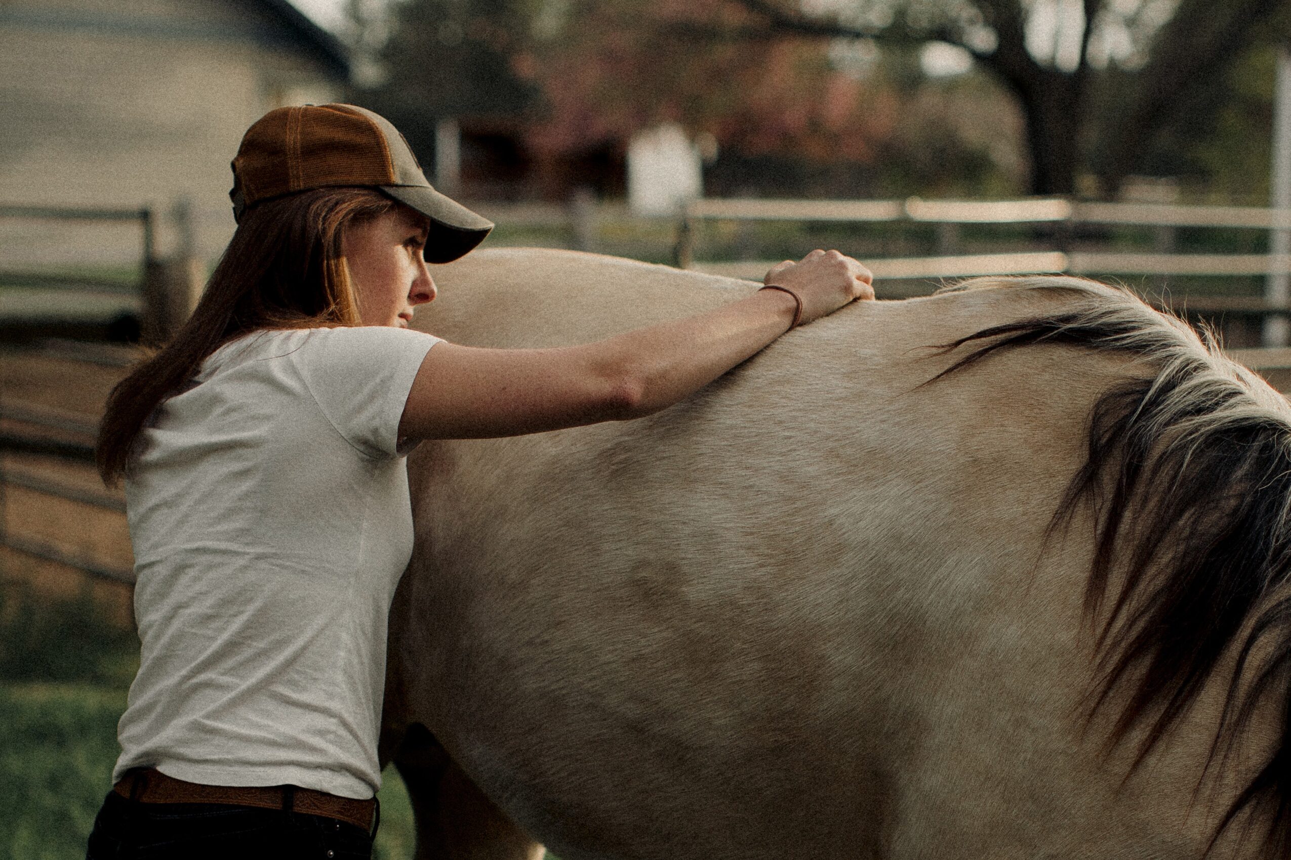 Person petting a horse's back outdoors, wearing a white shirt and brown cap, with trees and a fence in background.