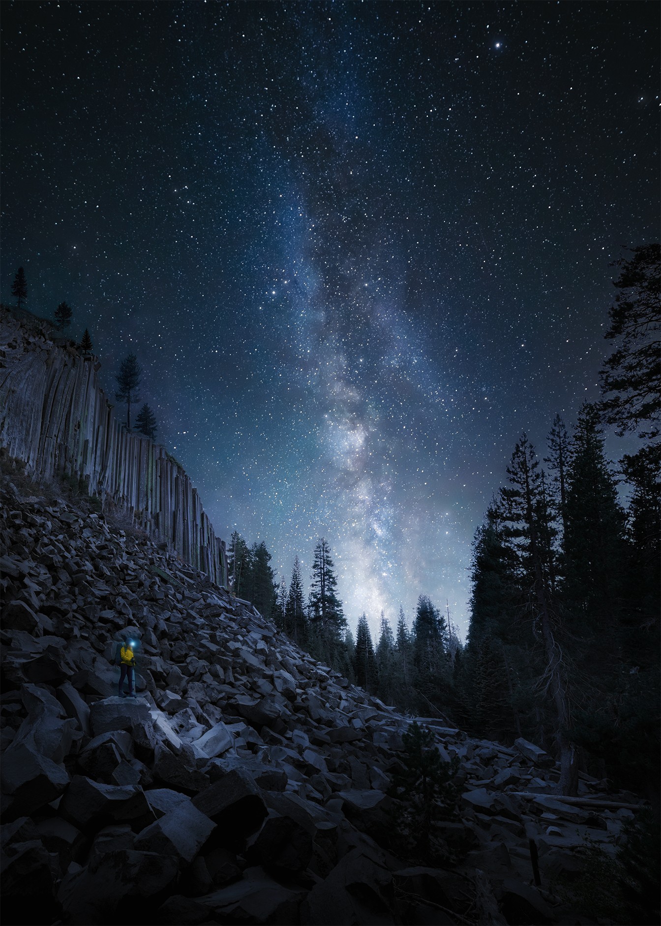 Night sky filled with stars and the Milky Way galaxy above a rocky landscape with trees.