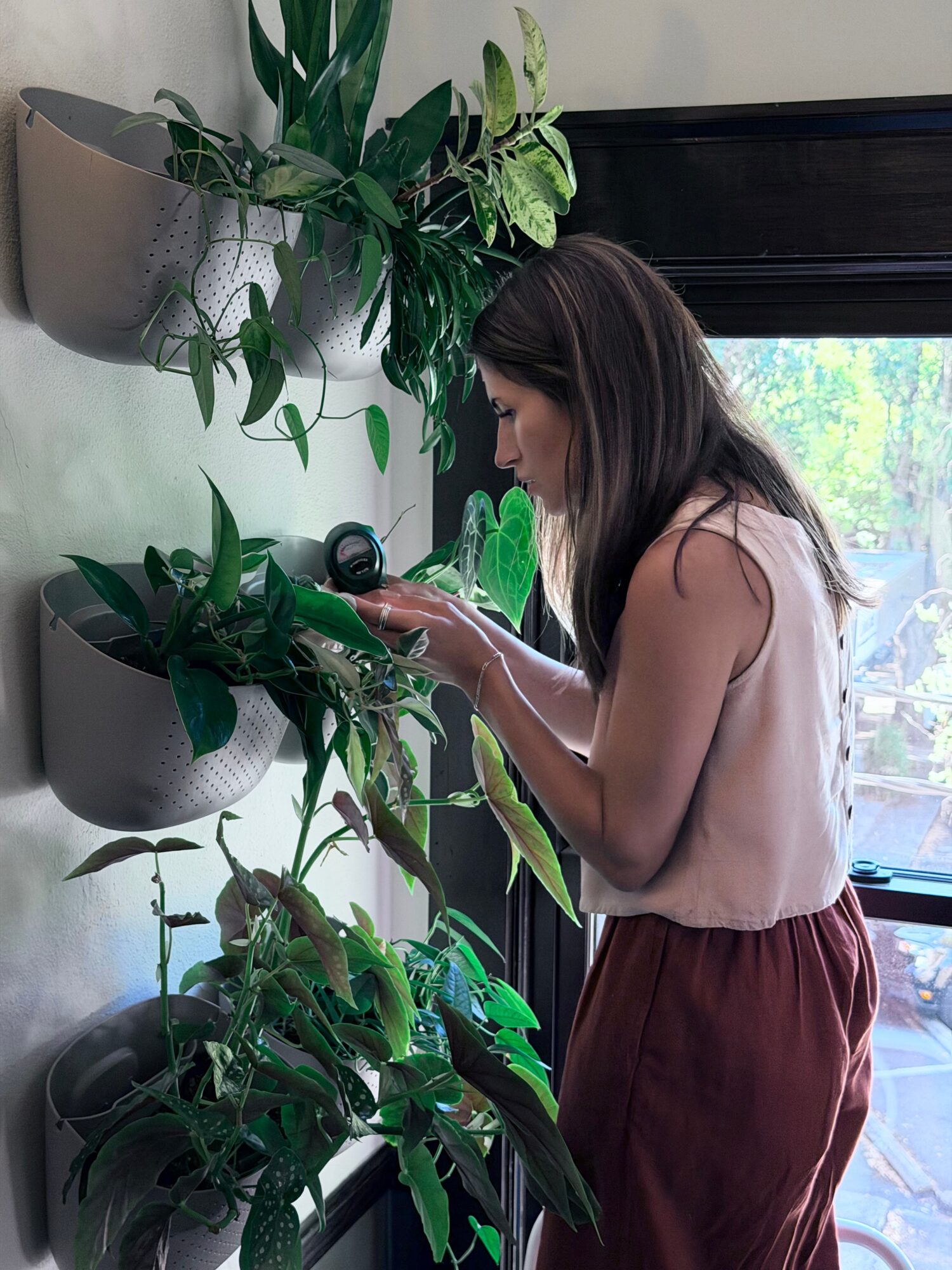 Woman with long dark hair in sleeveless top and maroon pants looks at plants near window.