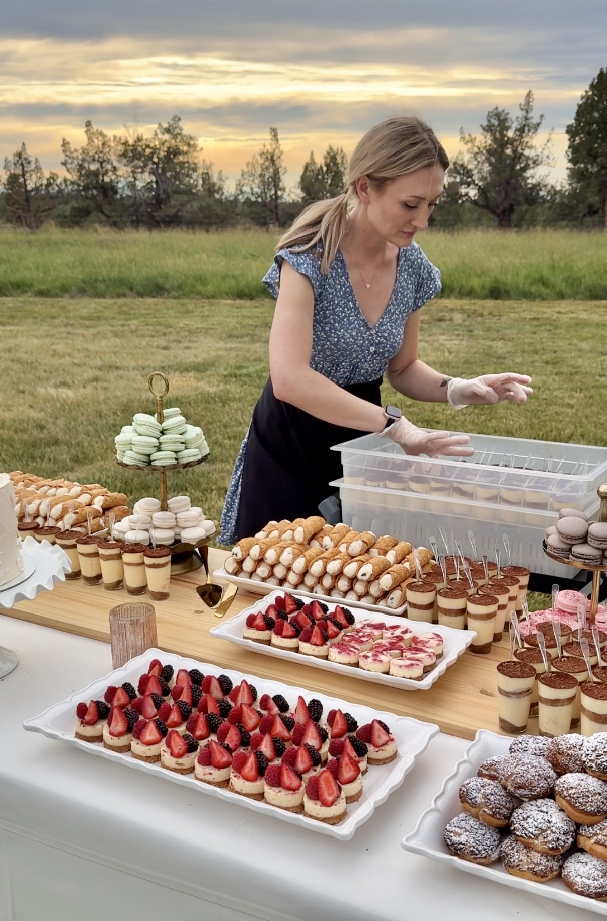 Woman arranging desserts outdoors with a table of cupcakes, strawberries, and pastries, green field and trees in background, sunset sky.