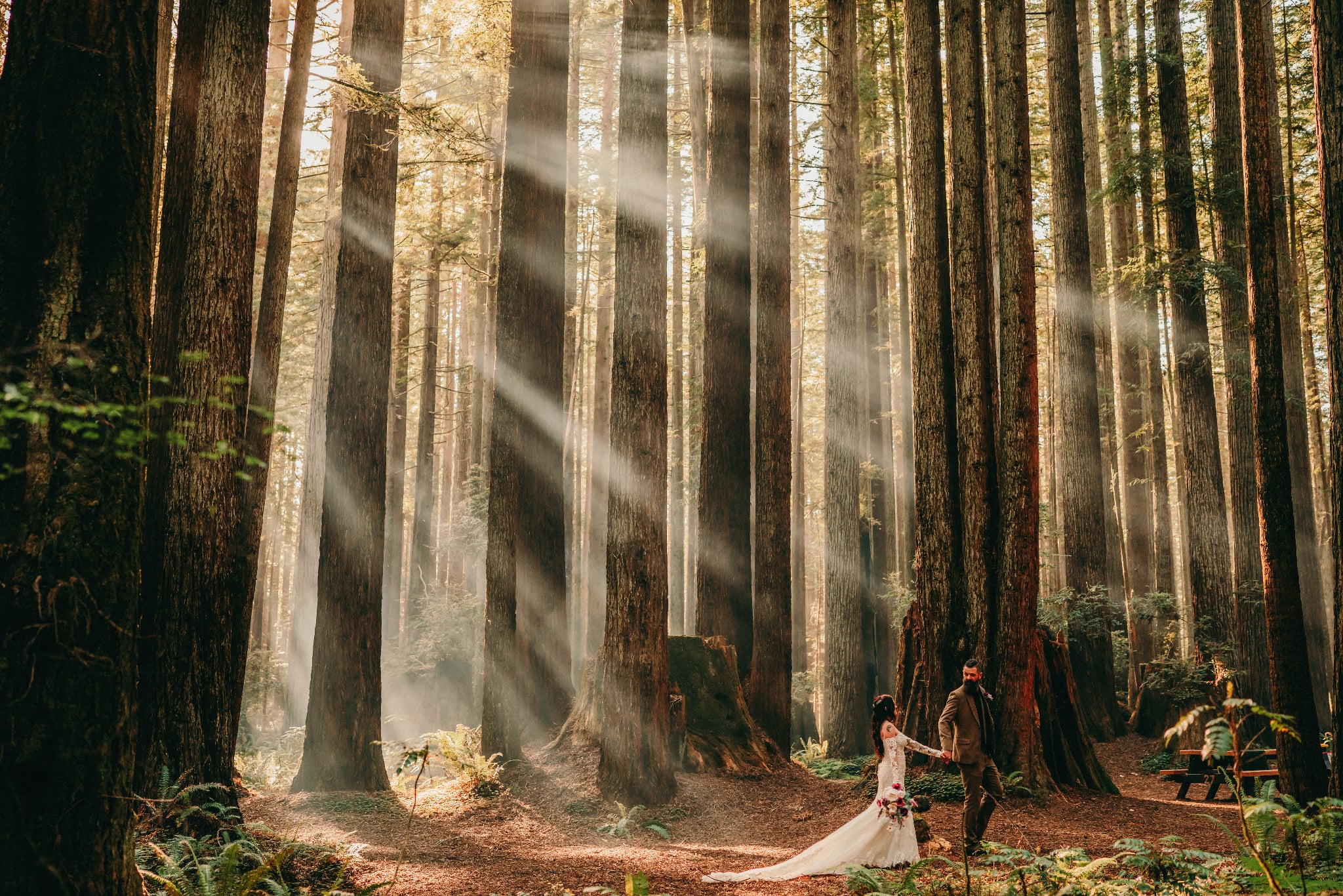 Sunlight streams through tall trees in a forest, illuminating a couple walking along a path.