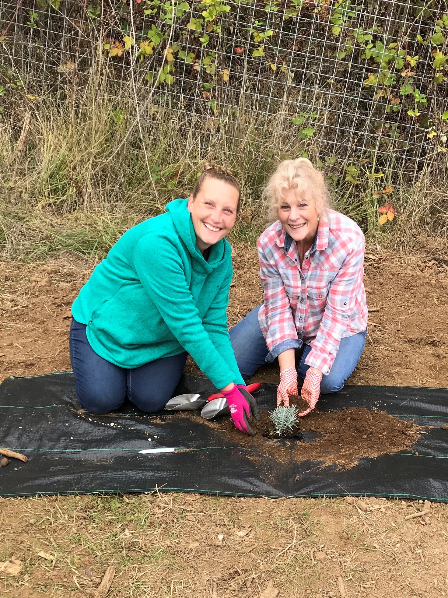 Two women planting a small shrub on black plastic mulch outdoors, smiling, with a wire fence and bushes behind them.