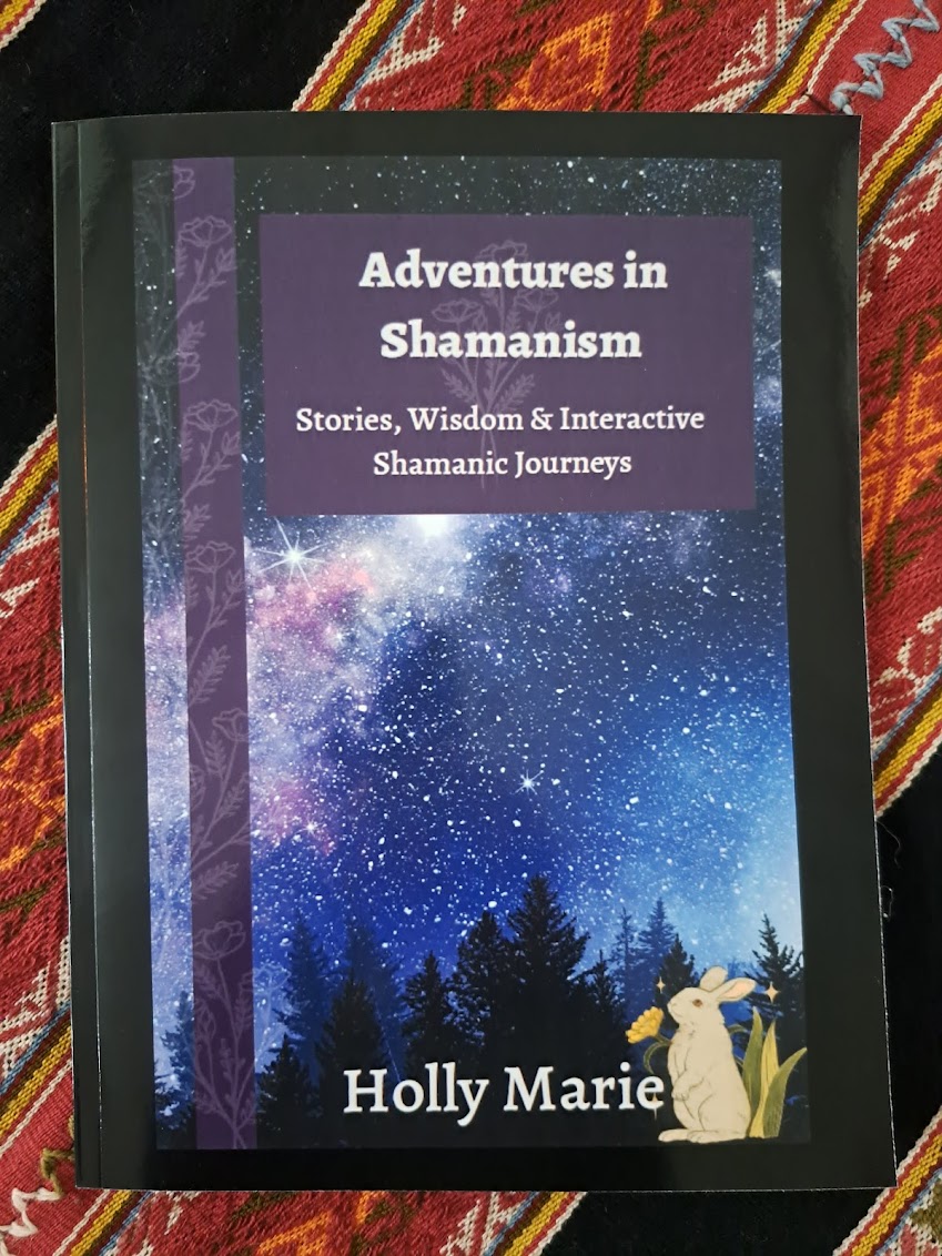 Book cover titled 'Adventures in Shamanism' with starry sky and trees, featuring a small animal at the bottom right corner.