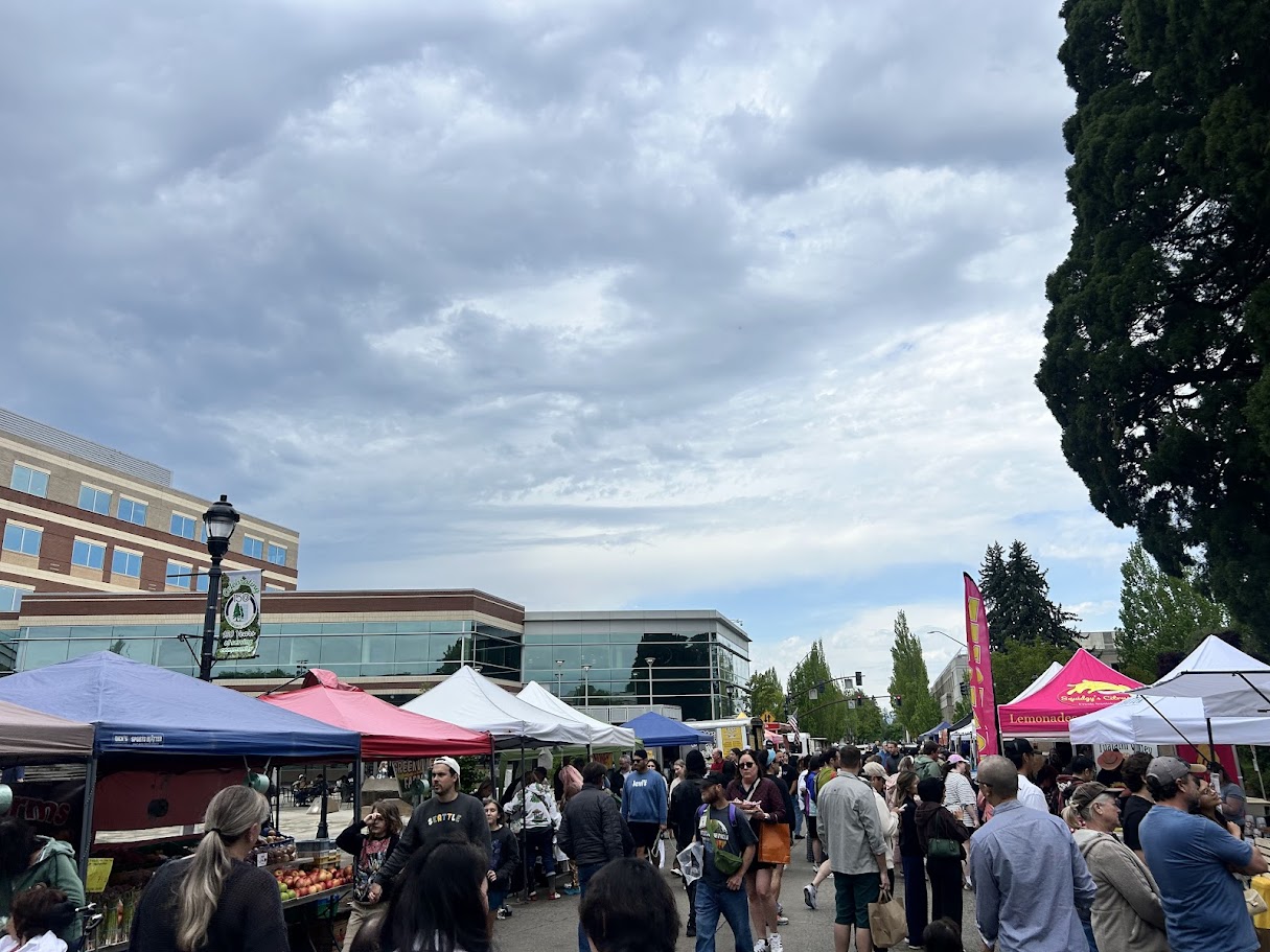 Crowd of people at outdoor market with tents and buildings in background under cloudy sky.