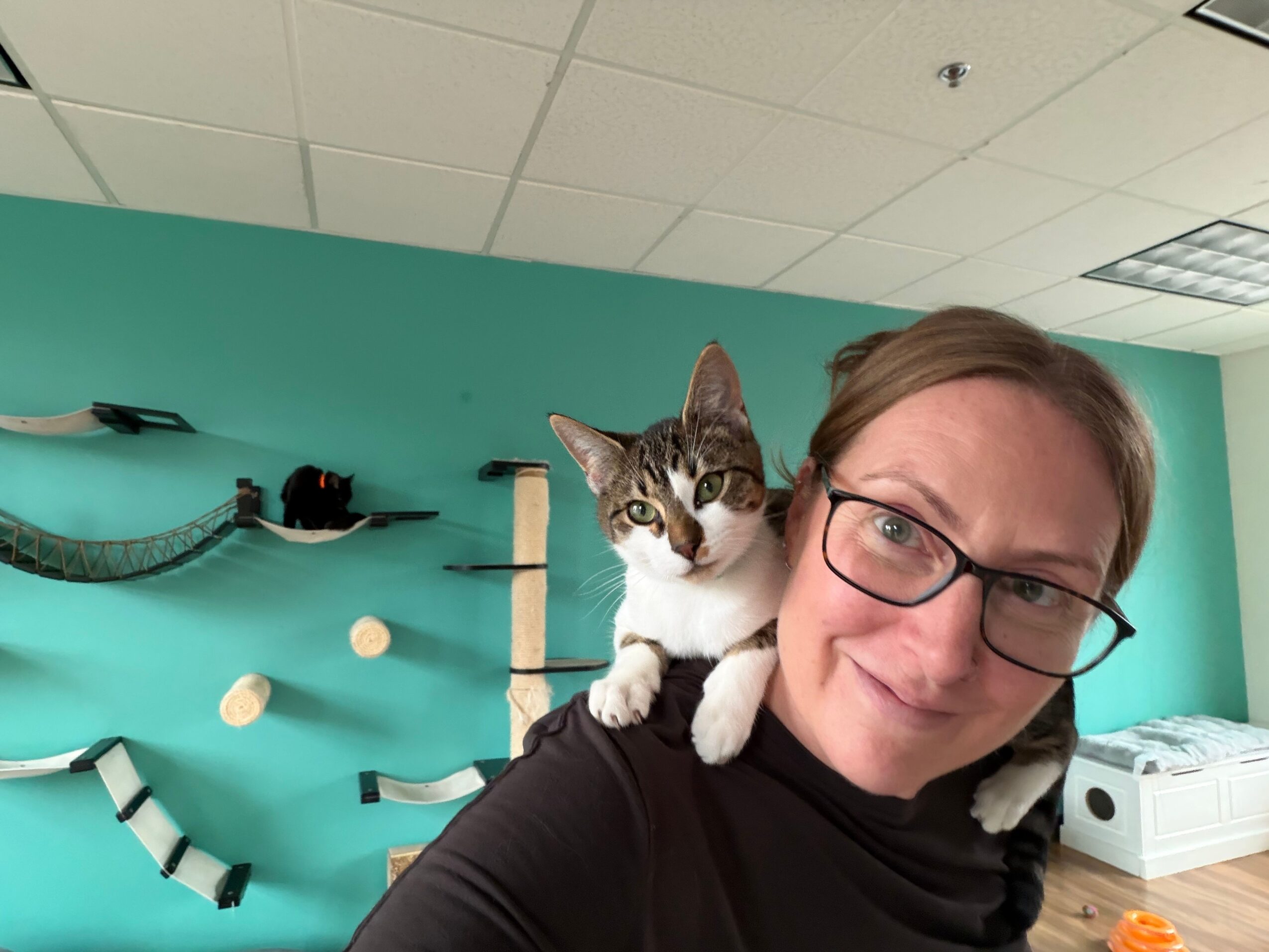 Person with glasses holding a tabby cat, lying on a teal surface with various objects, including a black and white striped item.