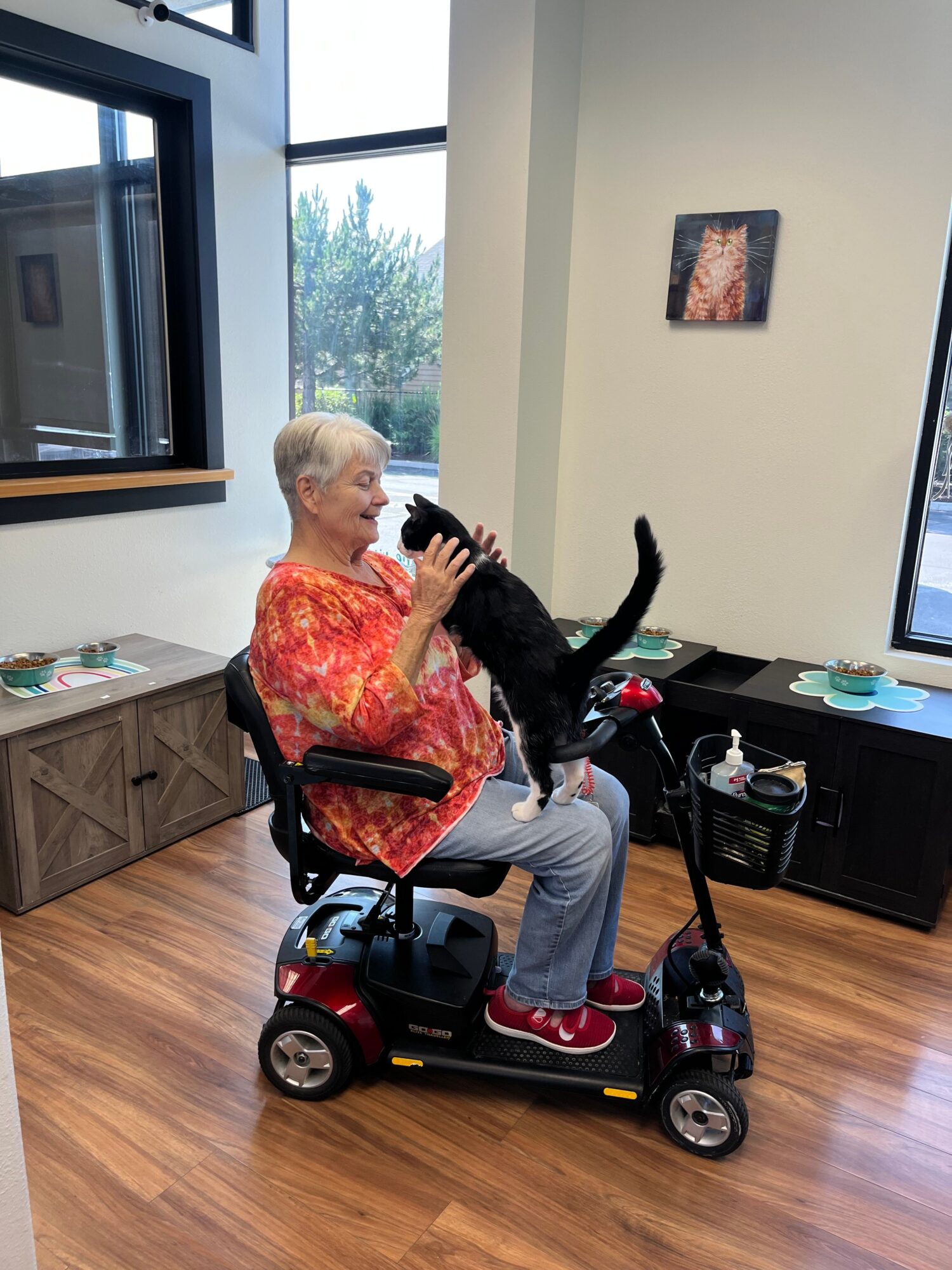 An elderly woman with short white hair sits in a mobility scooter indoors, near a window with a view outside. She wears a colorful top and gray pants, and is touching her face with her right hand. The room has wooden flooring and a small cabinet nearby.