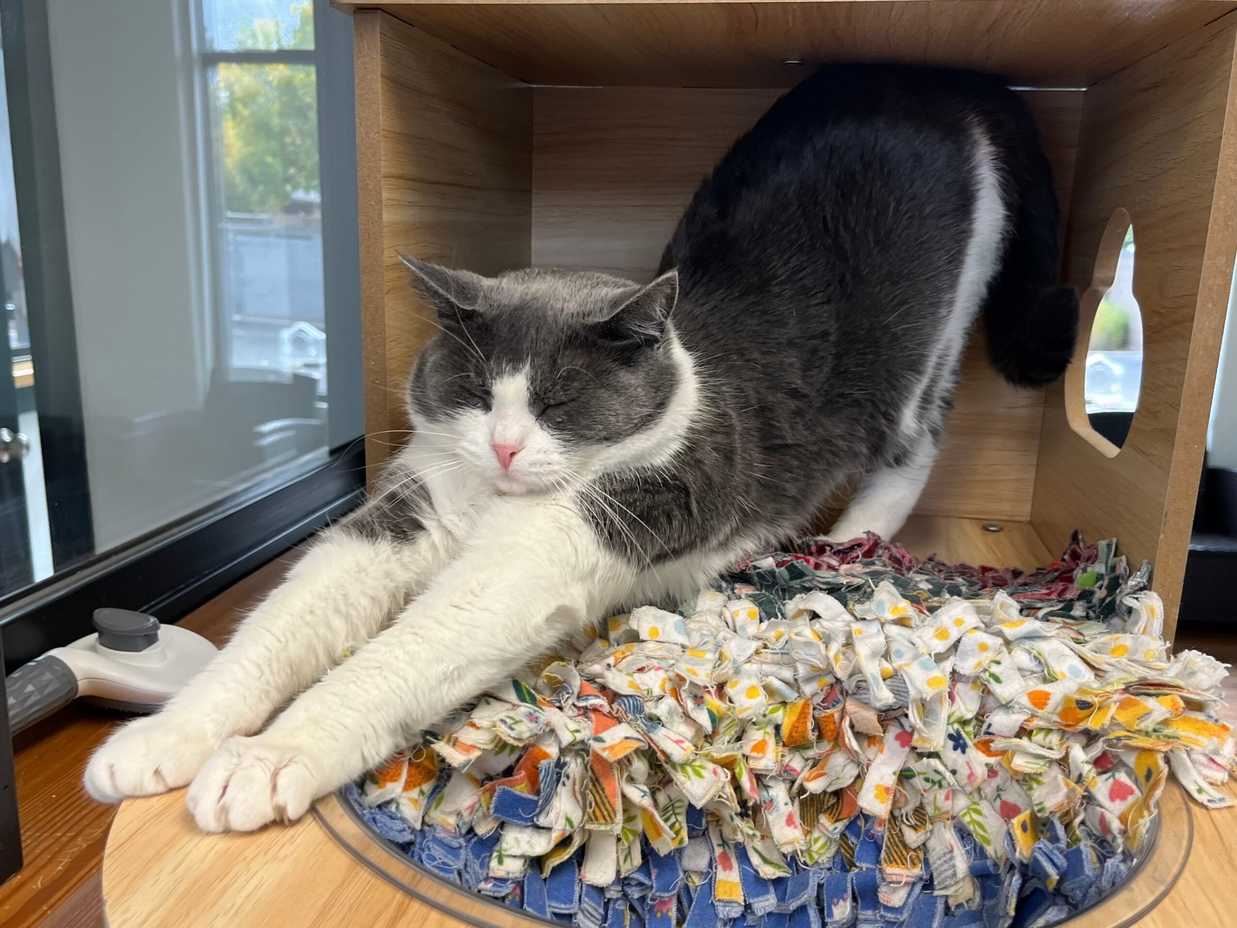 Gray and white cat lying on a colorful fabric mat inside a wooden box, near a window with sunlight.