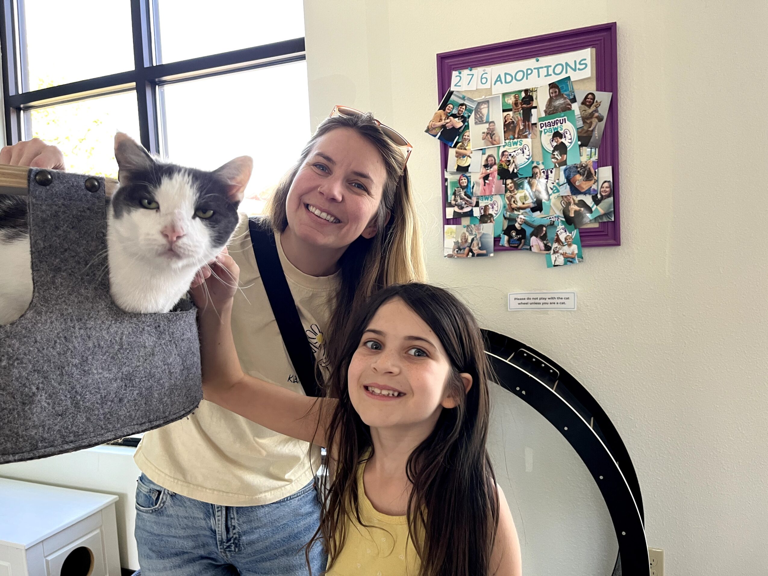 Two smiling women with a cat in a gray bag, standing indoors near a window and a purple framed collage board.