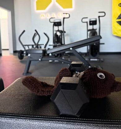 Gym equipment with a plush toy lying on a bench in the foreground, weight and exercise machines in the background.