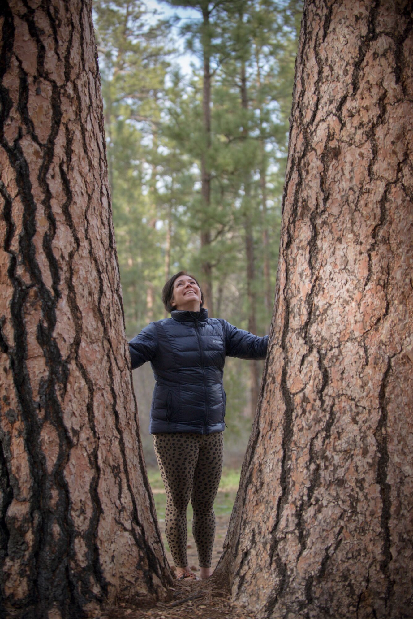Child standing between two large trees with arms outstretched, looking upward in a forest setting.
