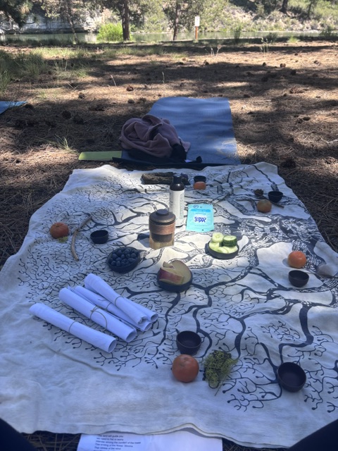 Outdoor picnic setup with a map, drinks, and snacks on a blanket, surrounded by trees and sunlight.