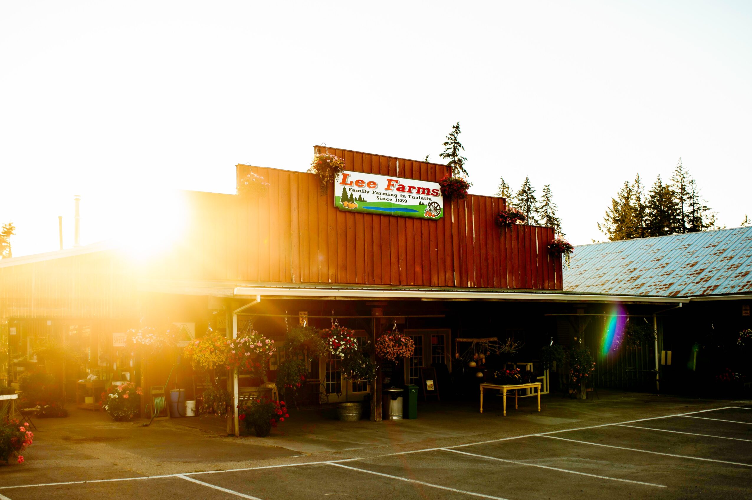 Sunlight shines over a store with a sign reading 'Lees Farms,' with outdoor seating and parking lot in front.
