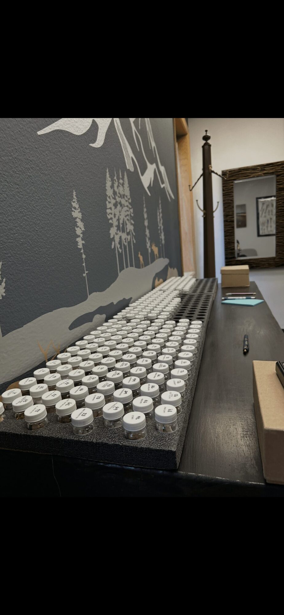 Close-up of a row of small glass jars with white lids on a black surface, with a wall and window in background.