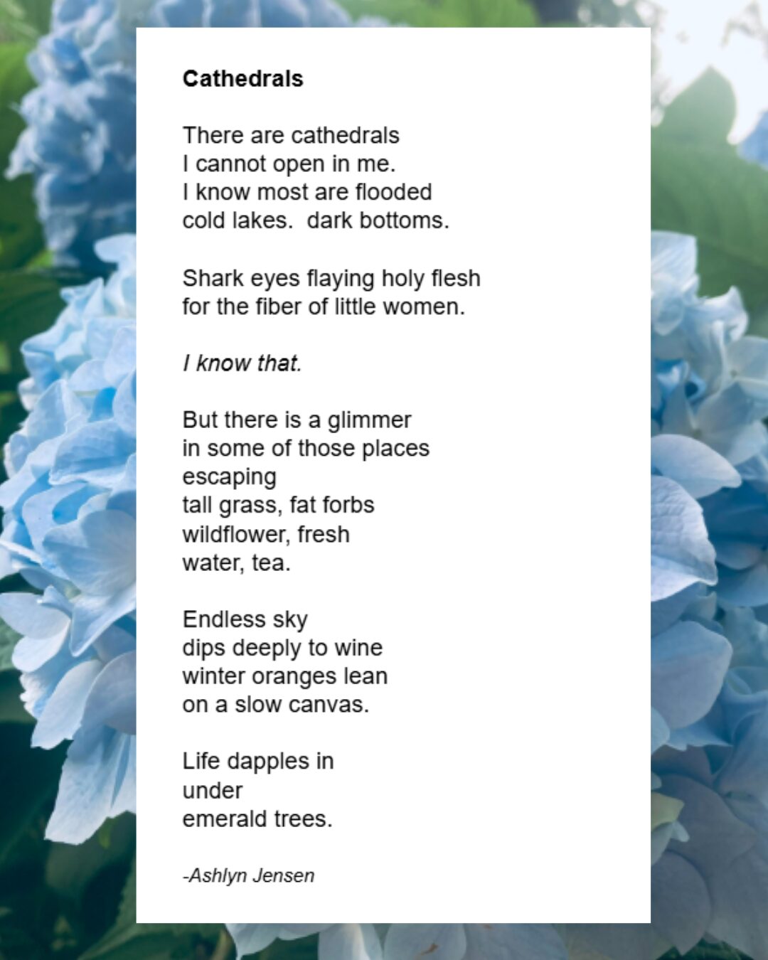 Poem about cathedrals over a background of blue and white flowers, with the poem's text in a white box.