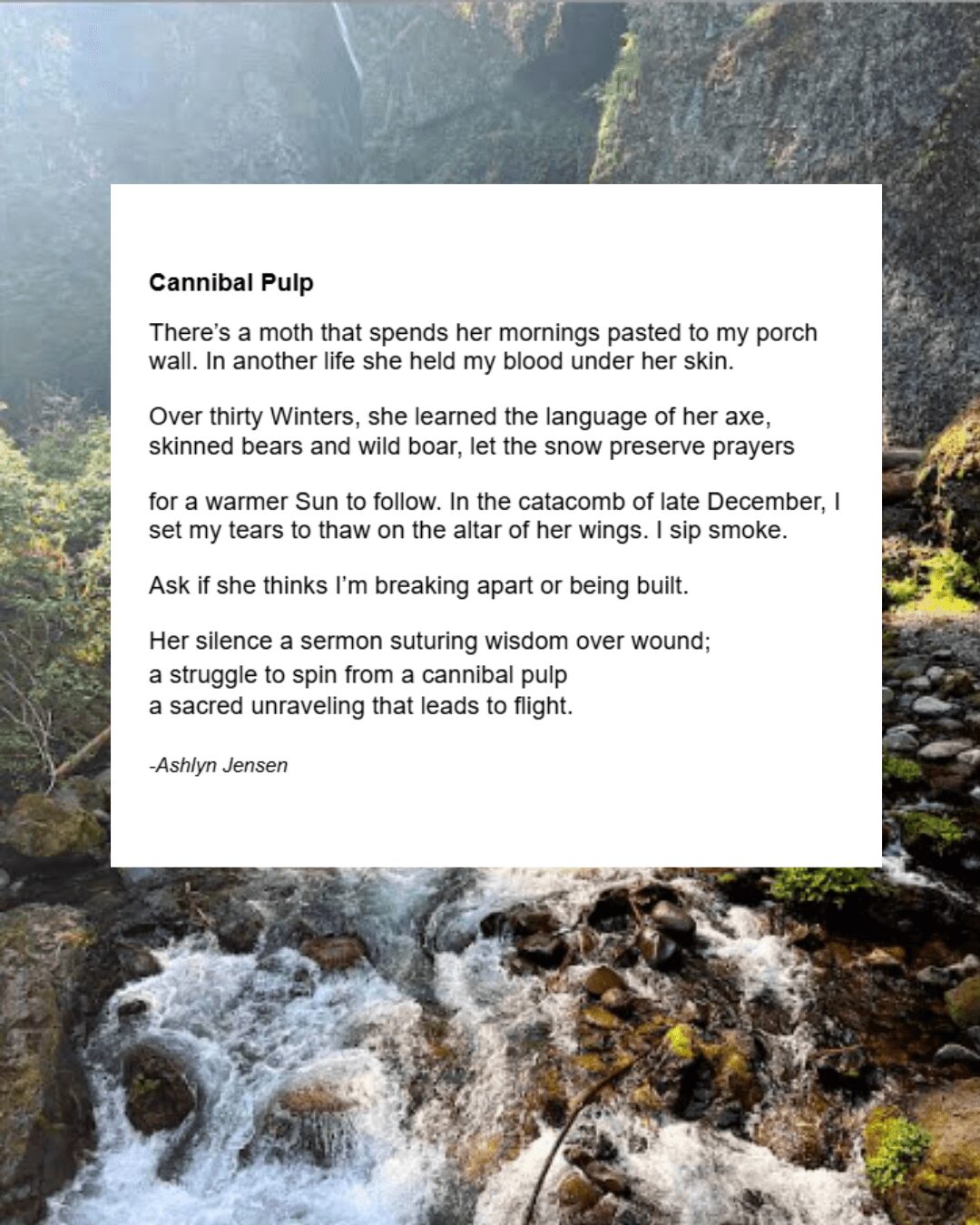 Poem titled 'Cannibal Pulp' about a moth, winter, and a struggle, with a background of flowing water and rocks.