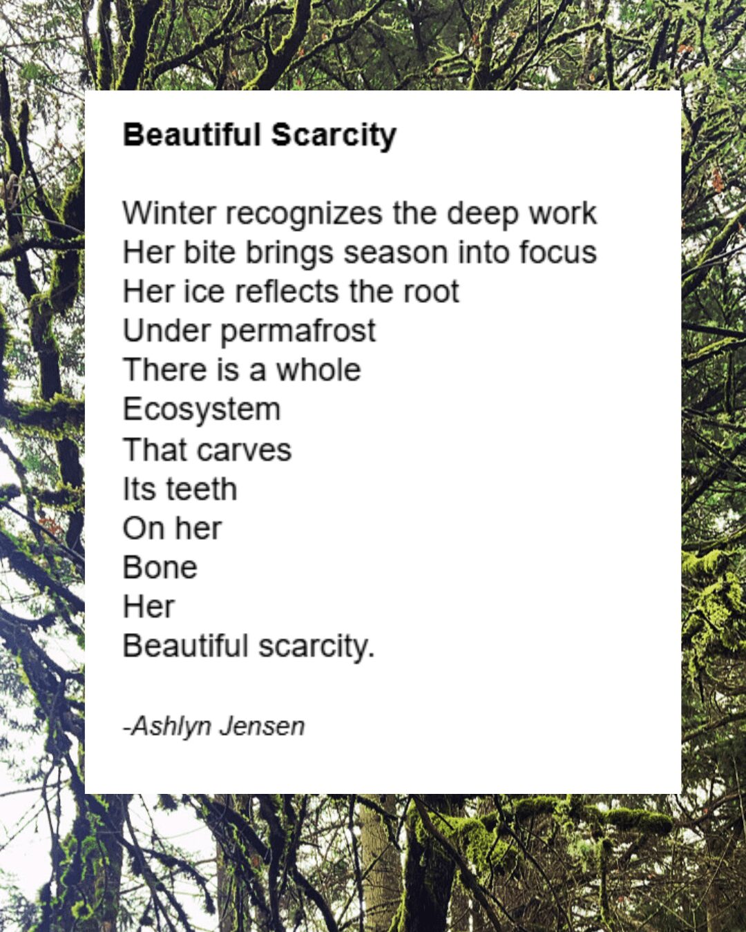 Poem titled 'Beautiful Scarcity' on a white background, with trees and green foliage behind it.